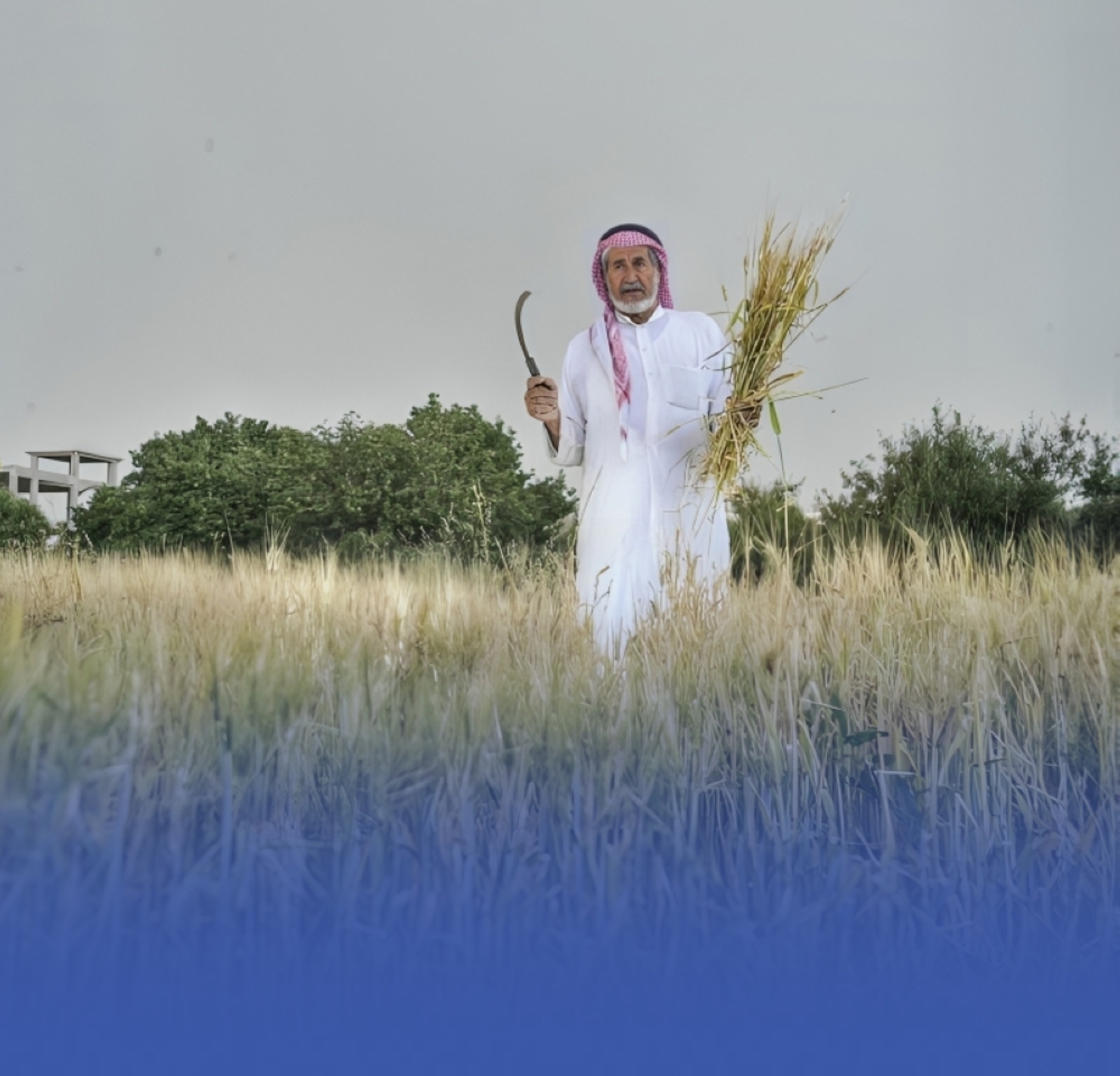 المملكة تستعرض الاستراتيجية الخليجية للأمن الغذائي