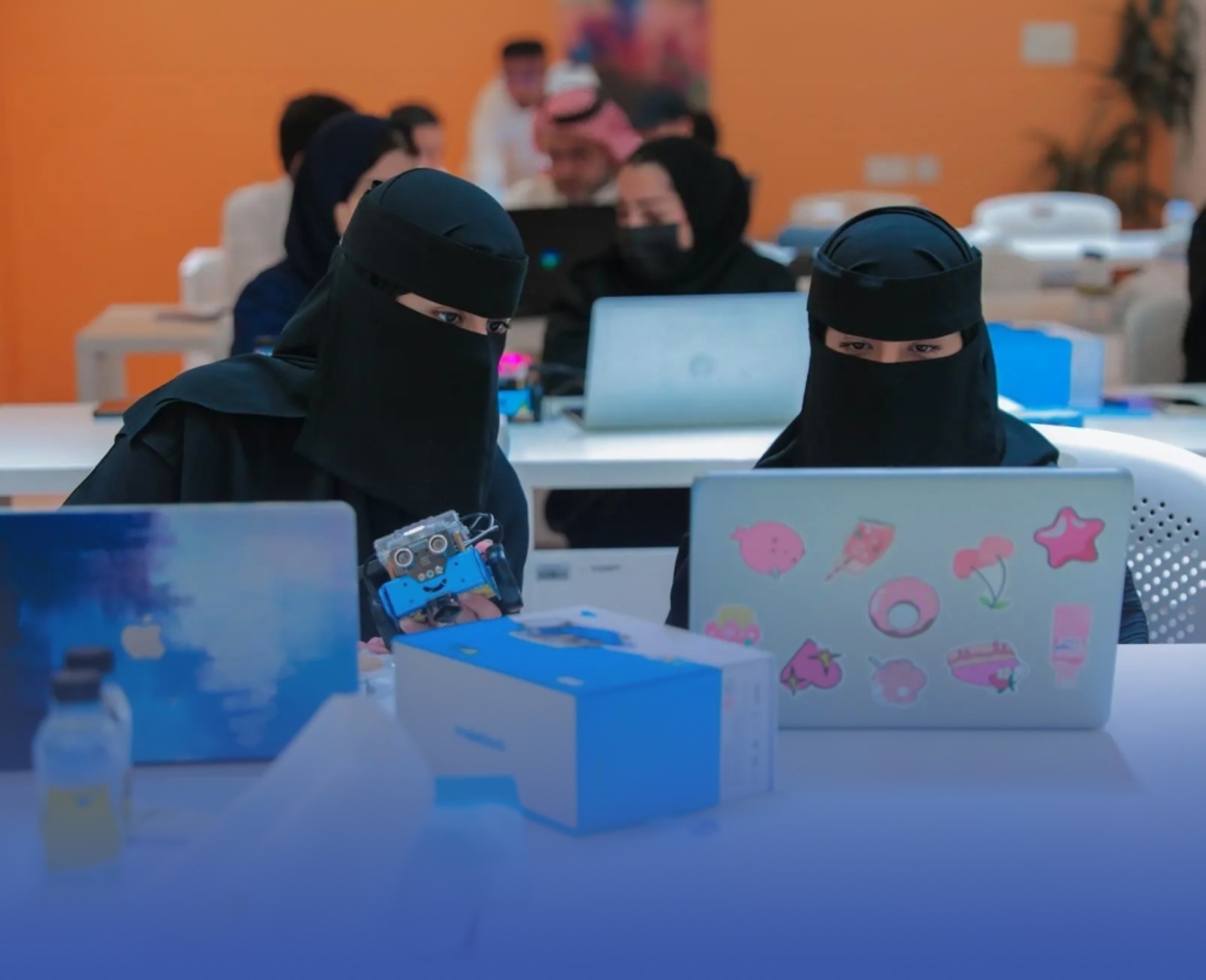 برامج في الذكاء الاصطناعي لبناء القدرات الوطنية