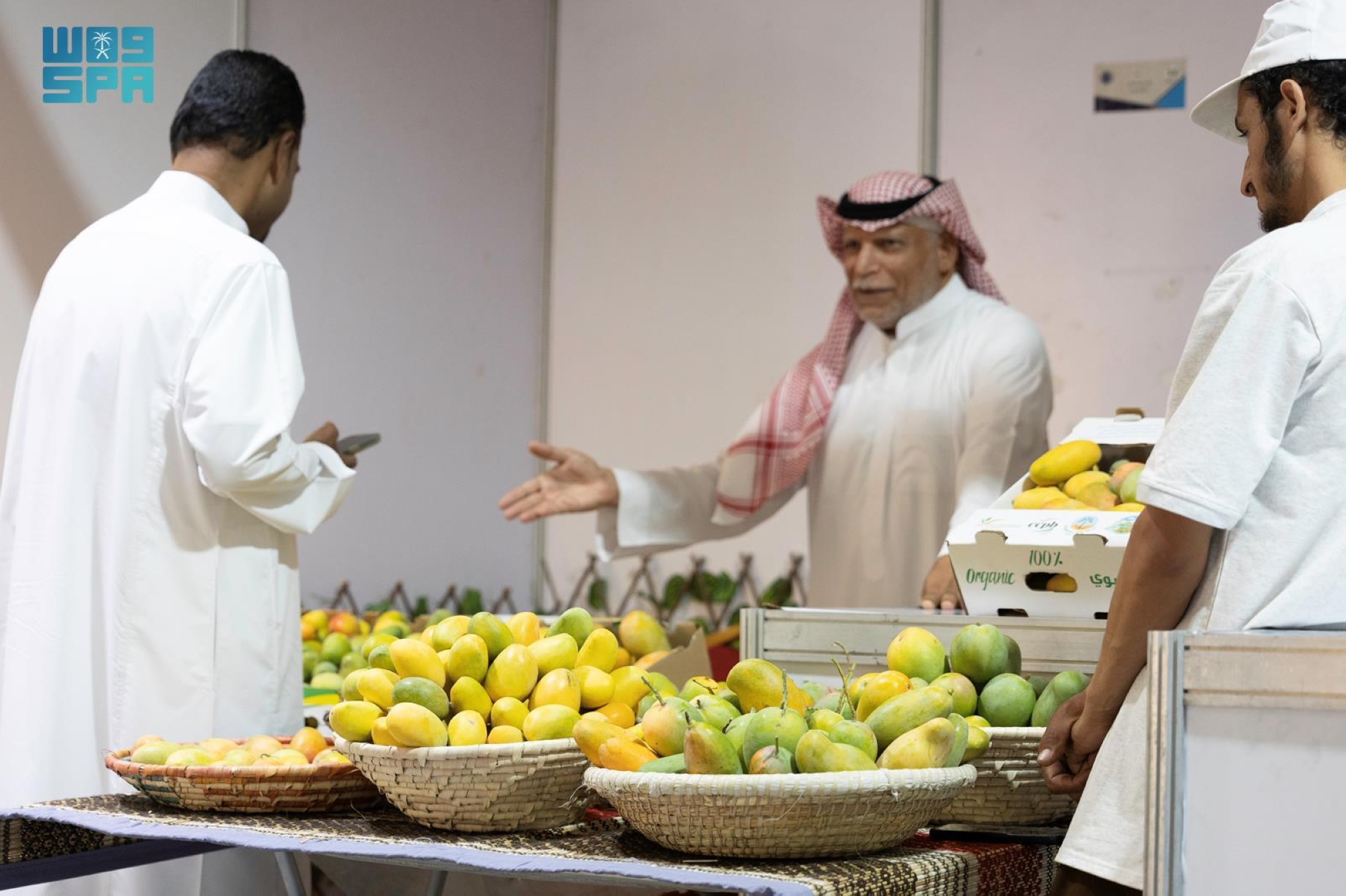 مهرجان المانجو الرابع ينعش أسواق أملج