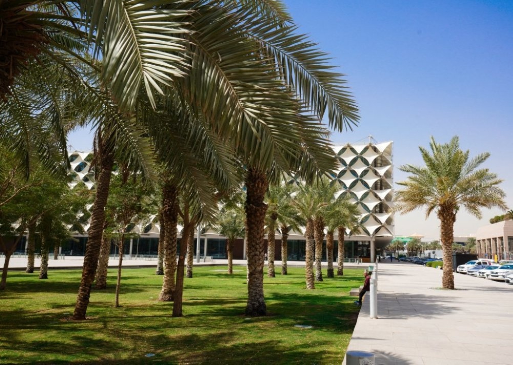 حديقة مكتبة الملك فهد: واحة ثقافية في قلب الرياض