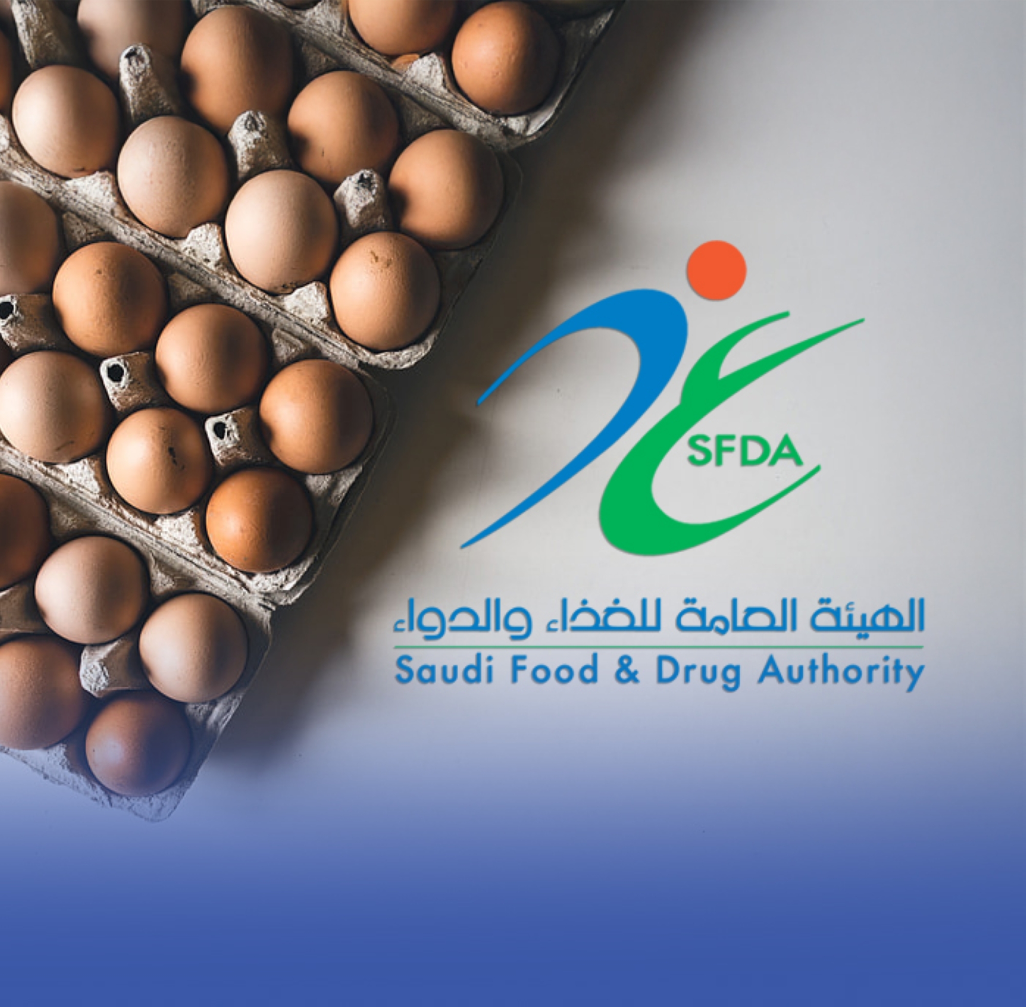 ضبط منشأة لاستيرادها "بيض مائدة" من بلد محظور