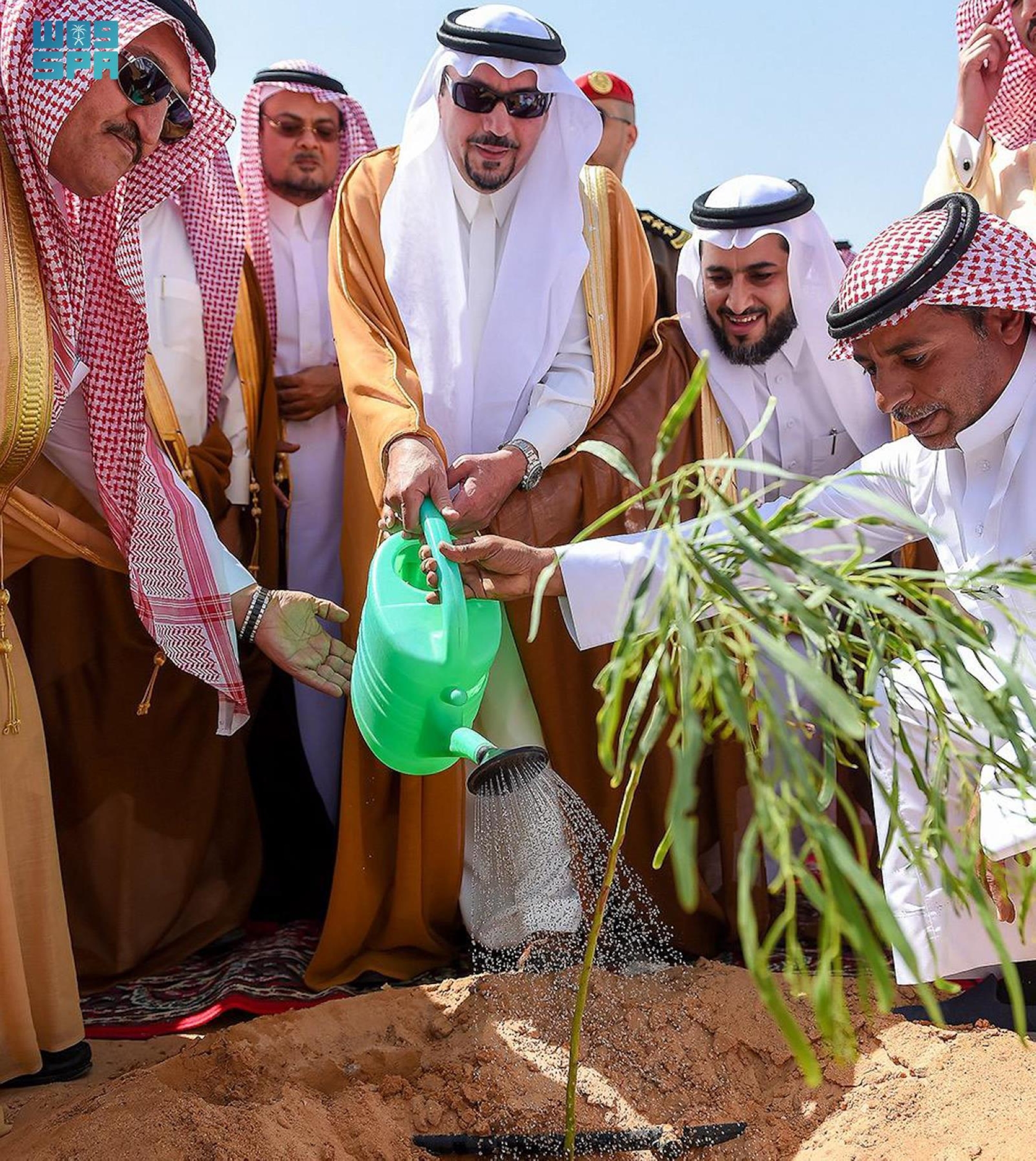 "أرض القصيم خضراء" تسهم بزراعة 7.5 مليون شجرة