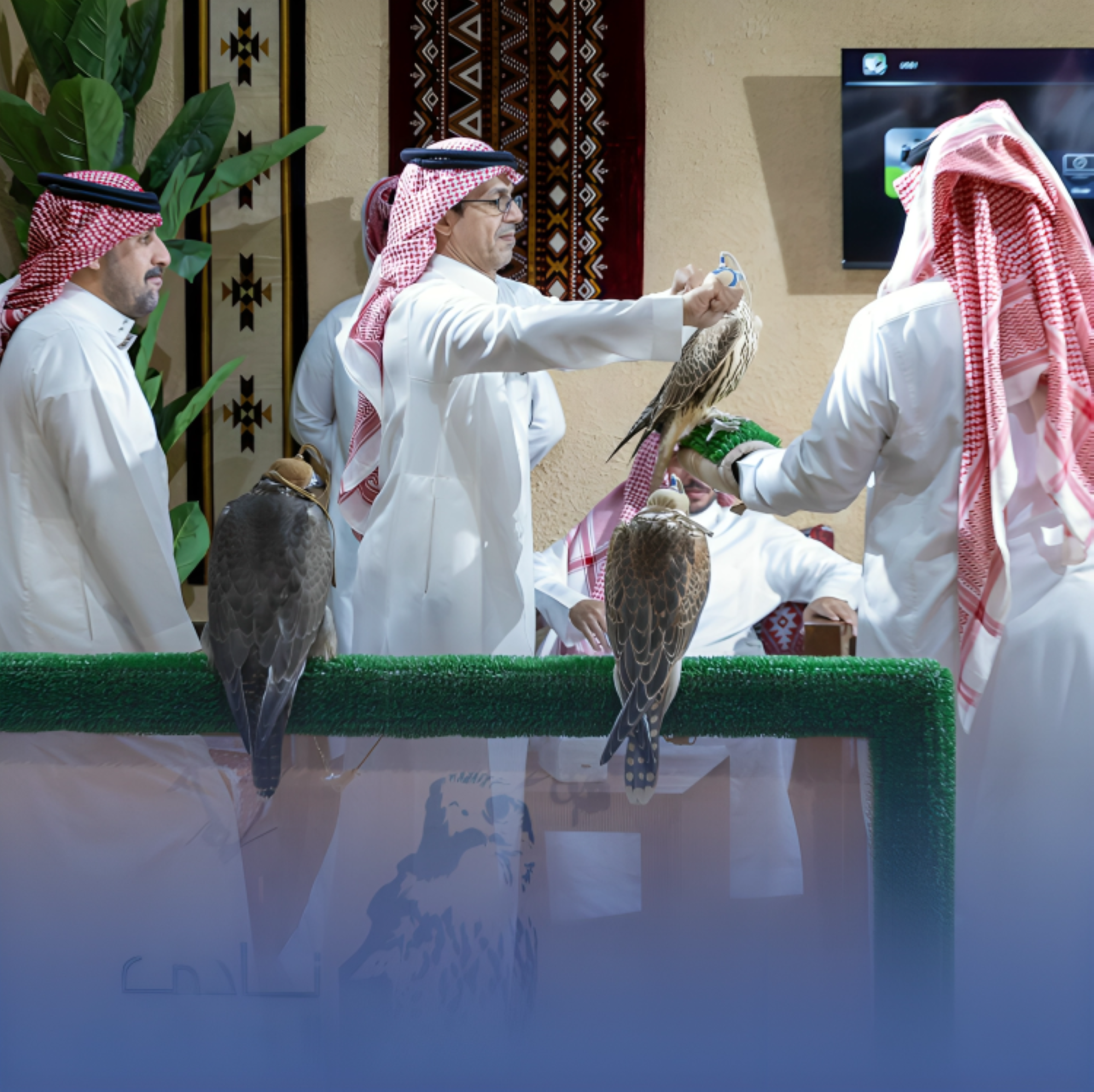 تنافس عالمي للصقارين في قلب الرياض