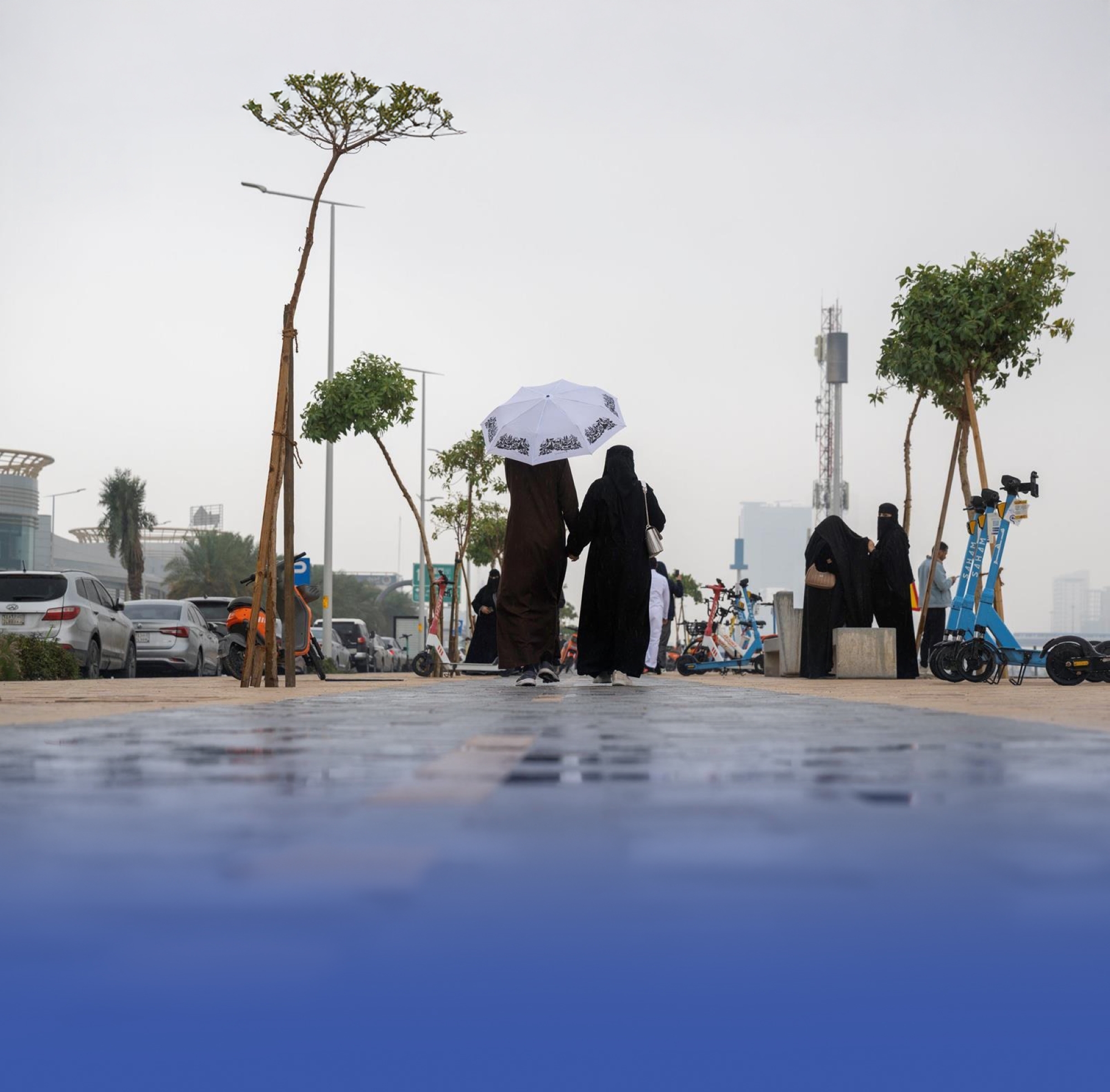 "الأرصاد": أمطار غزيرة إلى شديدة الغزارة على المناطق الجنوبية