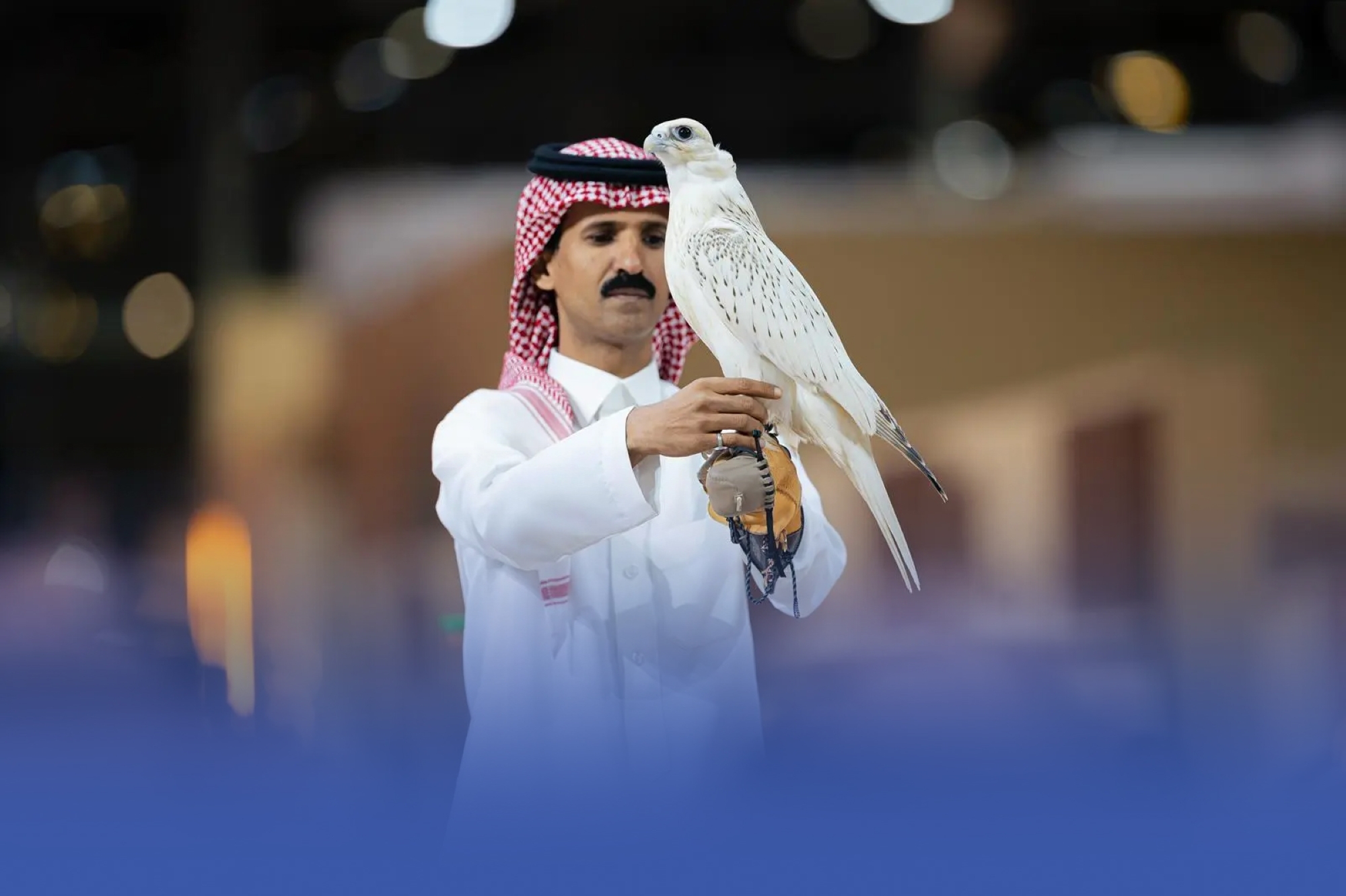 صقر يتخطى سعره مليون ريال بمزاد الصقور