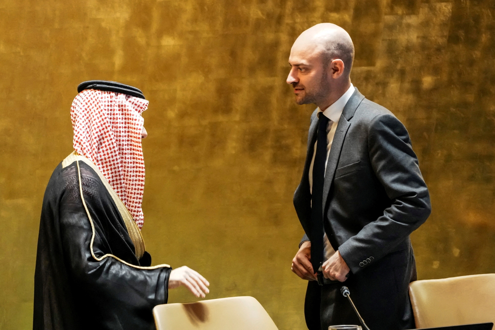 فنلندا تنضم إلى إعلان نيويورك بشأن حلّ الدولتين