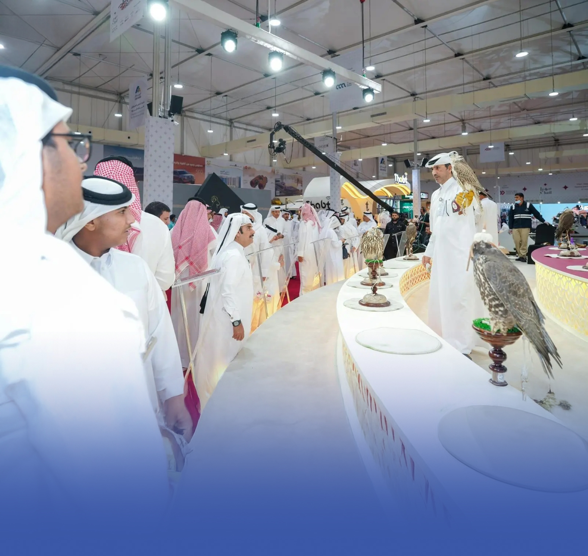 الترويج لخيارات الإقامة بمخيمات المملكة البيئية بمعرض كتارا