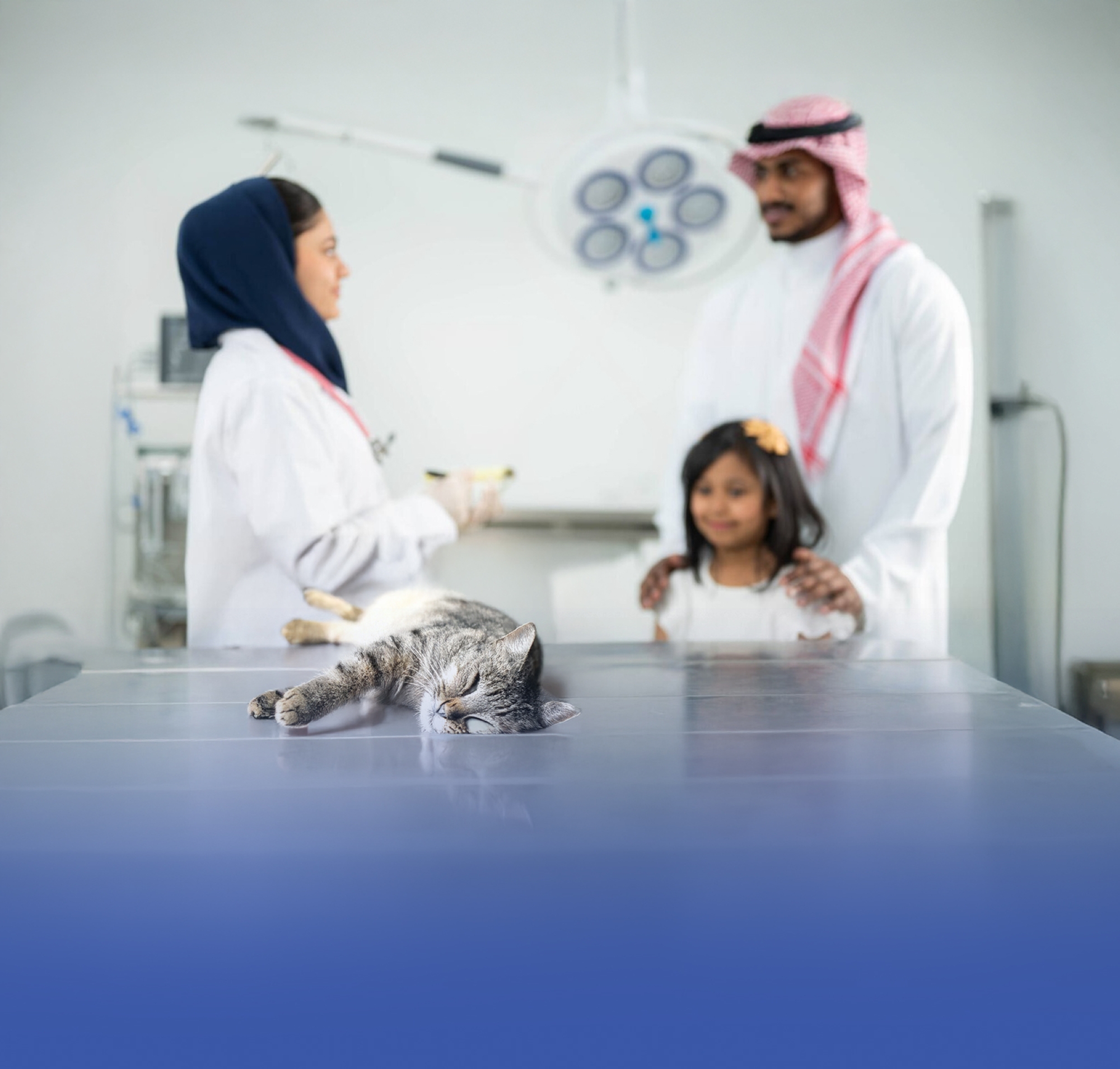 "البلديات" تُحدث تنظيمات تشغيل المنشآت البيطرية