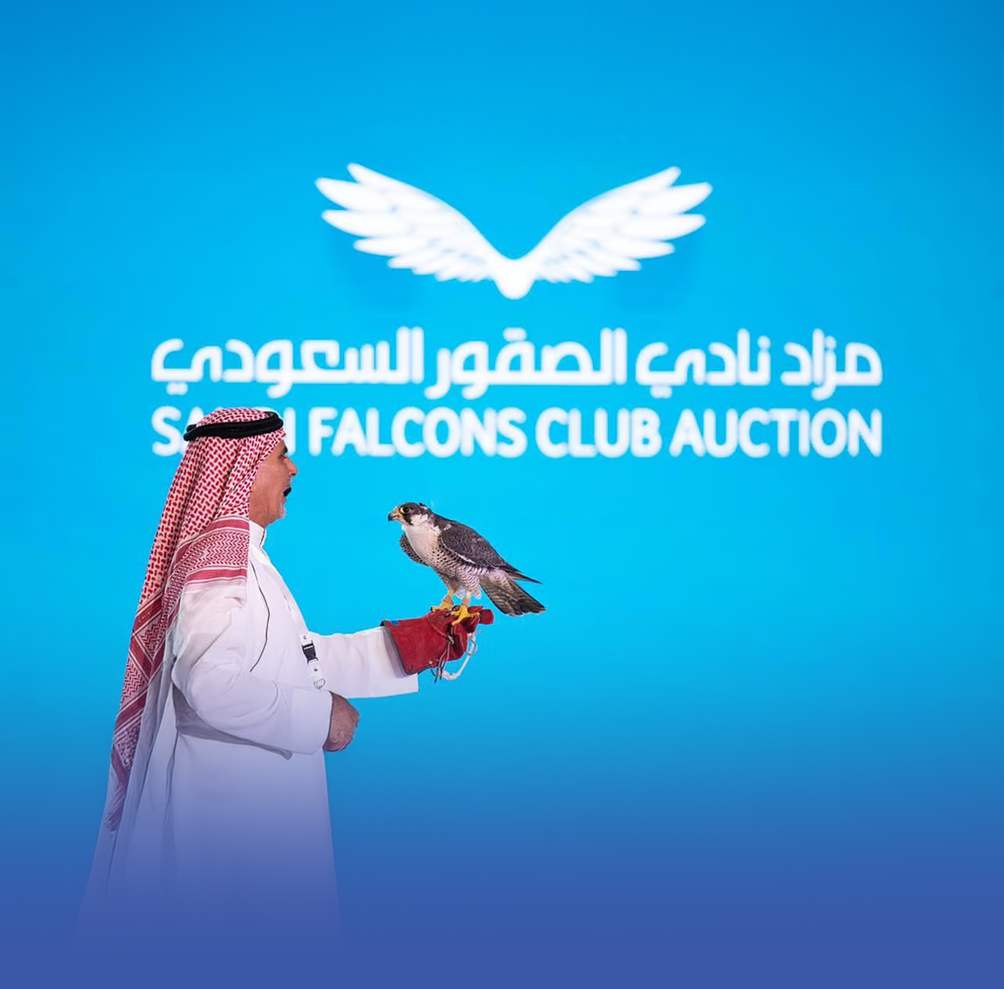 41 مليون ريال مبيعات مزاد الصقور في 5 أعوام