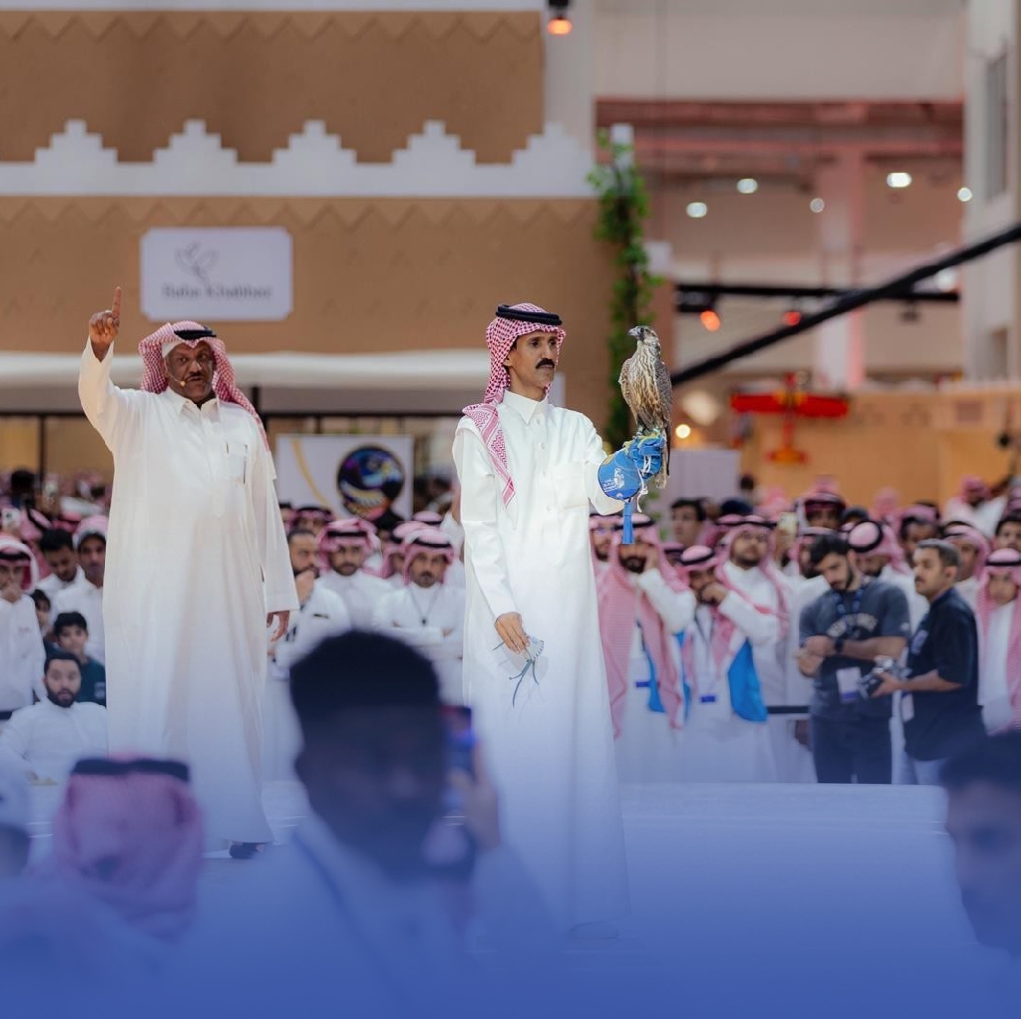 افتتاح مزاد الصقور ببيع صقر طرح بـ 100 ألف ريال