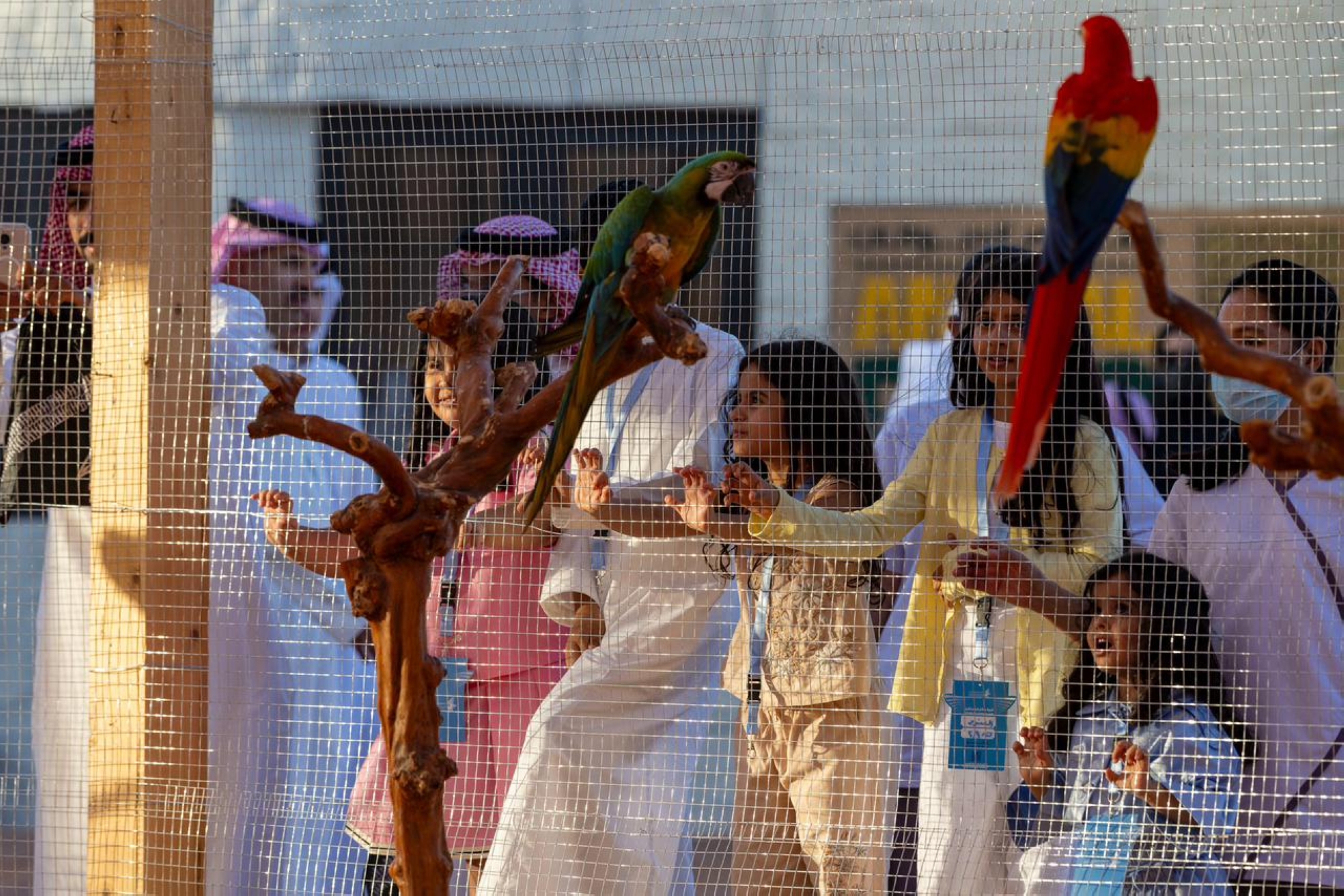 "سفاري المعرض".. نافذة على الحياة الفطرية