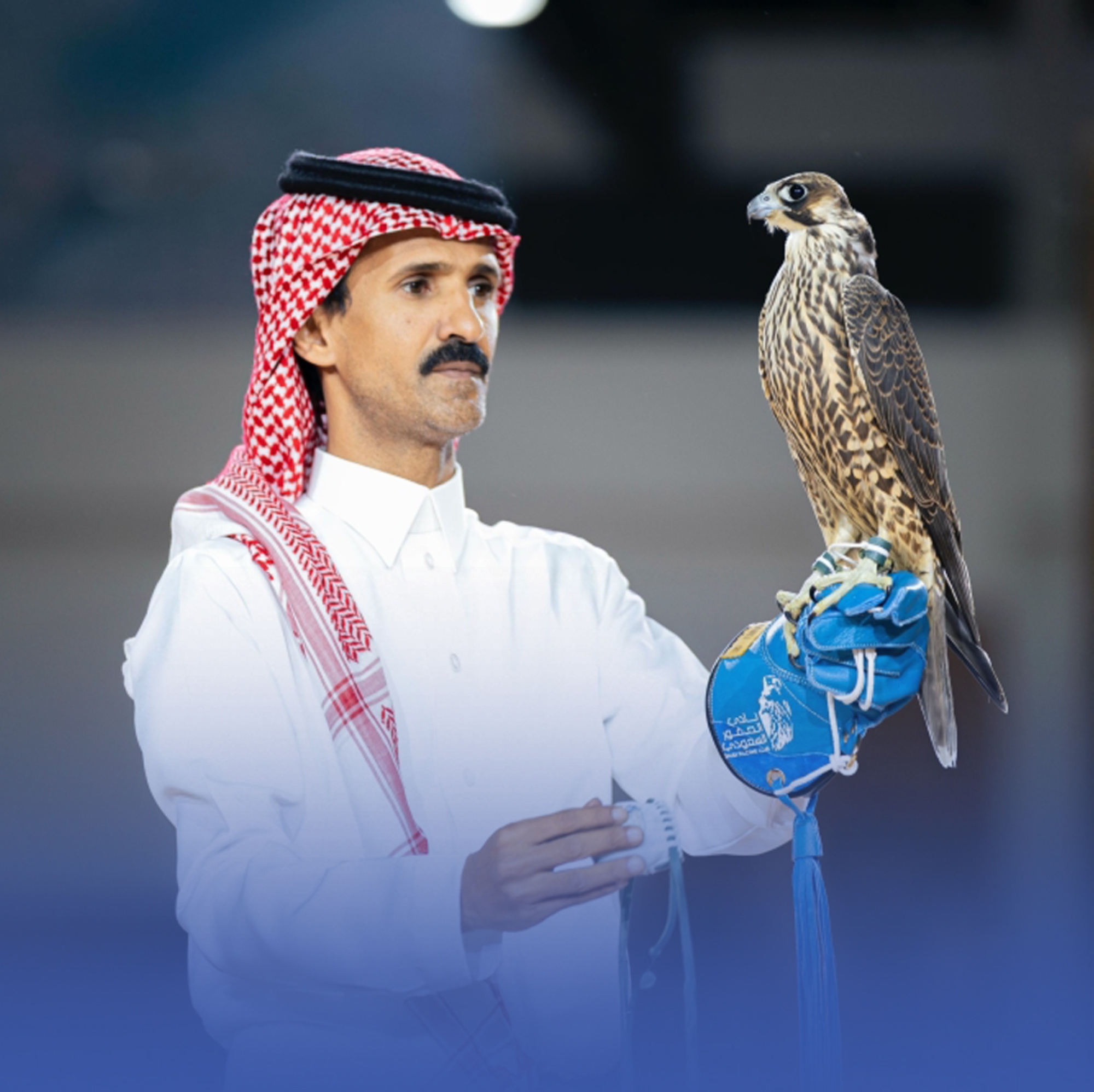 إقبال جماهيري كبير في ثاني أيام معرض الصقور