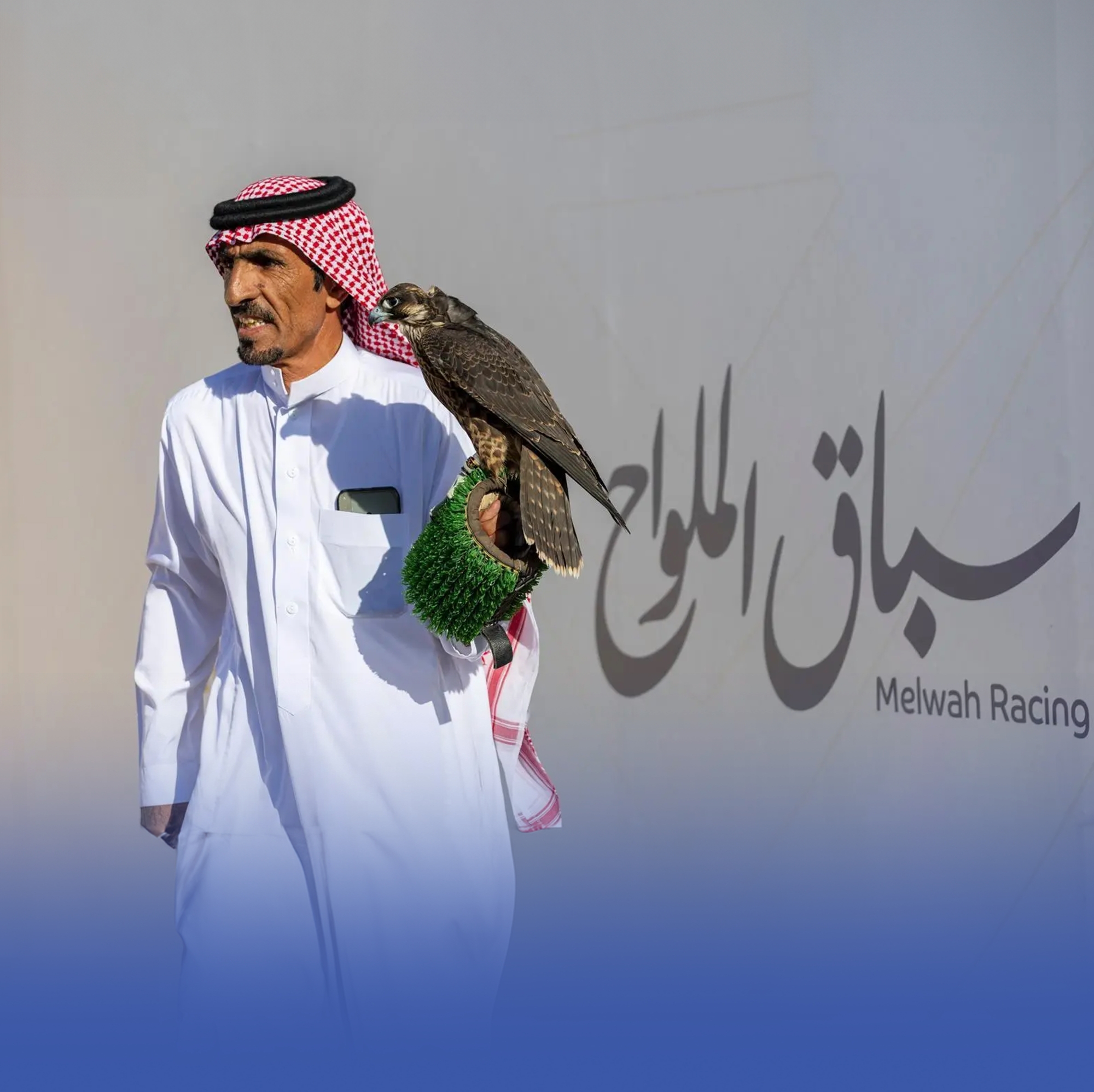 تنافس قوي بأشواط سباق الملواح بمعرض الصقور