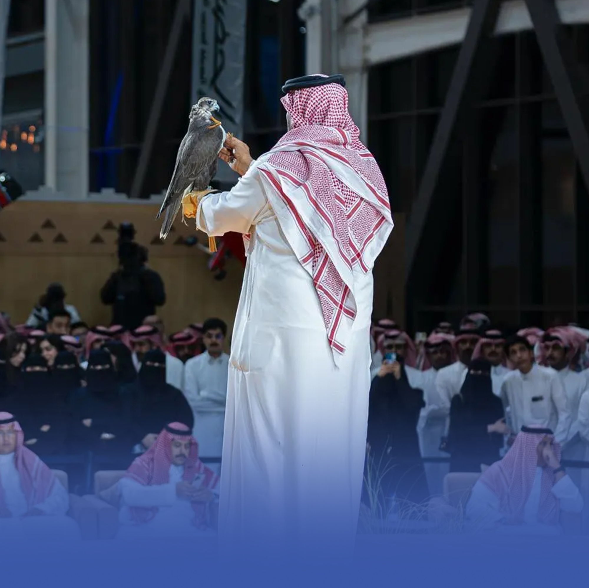 50 صقراً "منغولياً" تخطف الأنظار في معرض الصقور