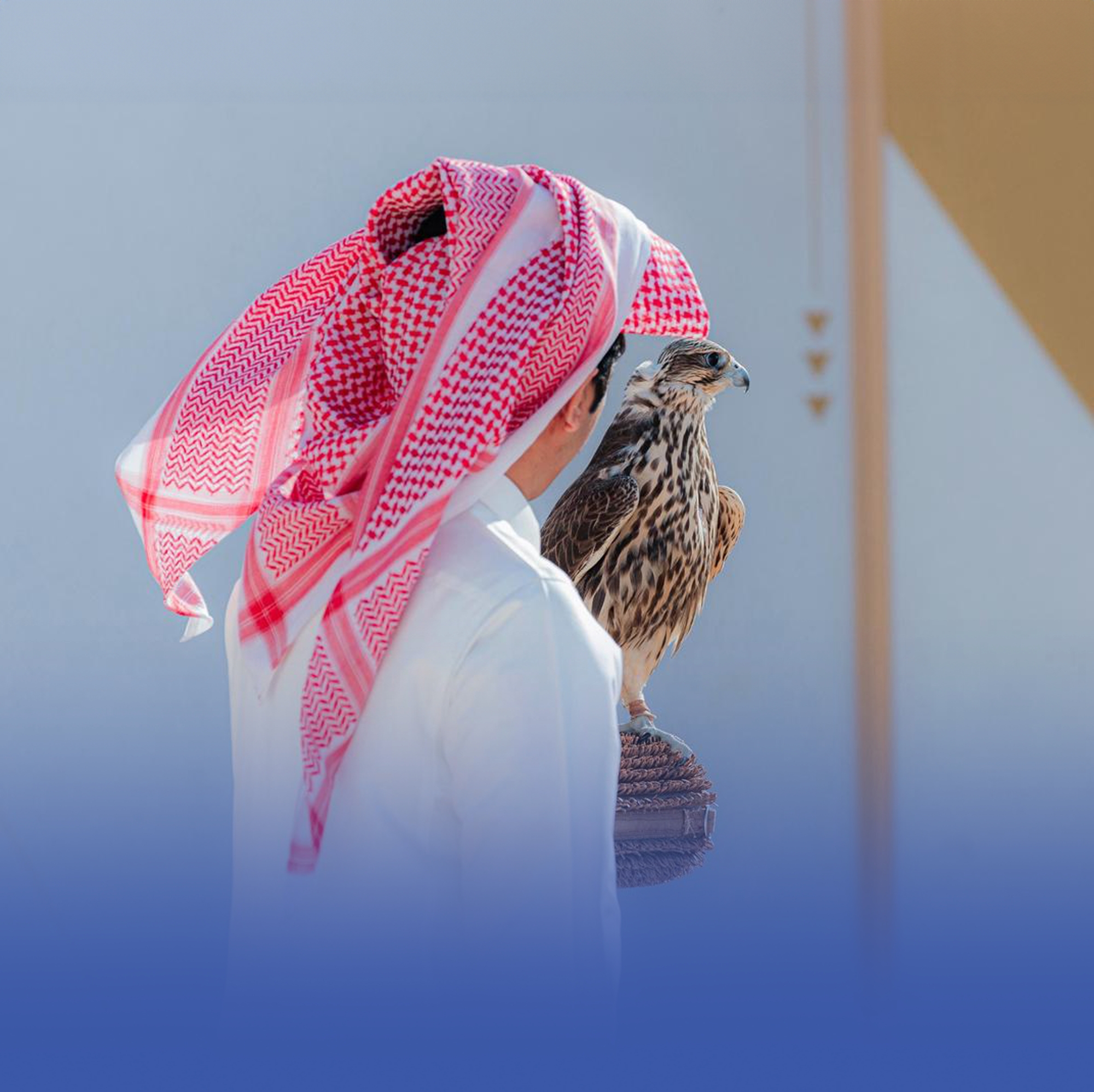 الإنتاج المحلي في صدارة شوط الحر بسباق الملواح