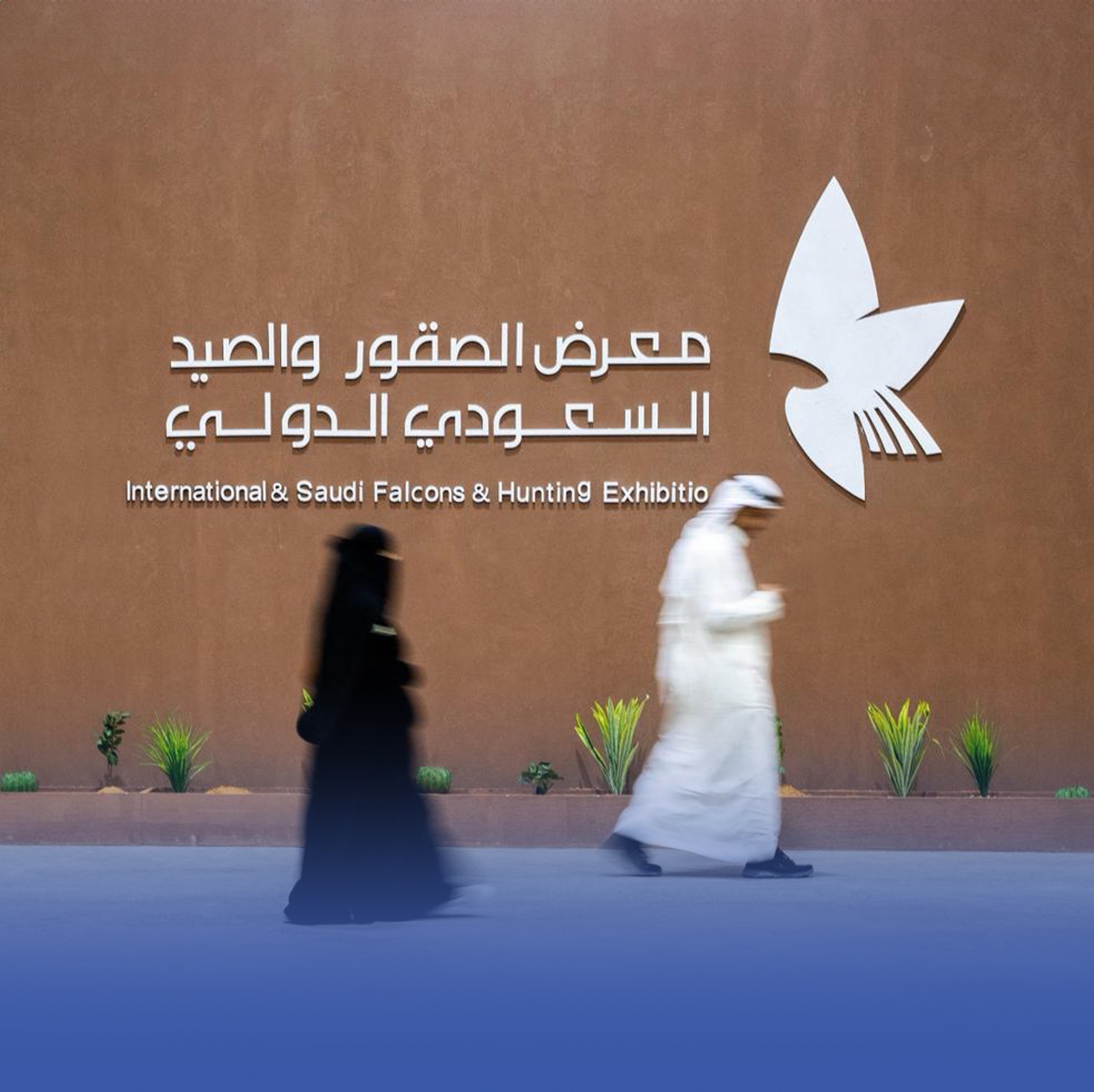 700 ألف زائر لمعرض الصقور والصيد السعودي الدولي