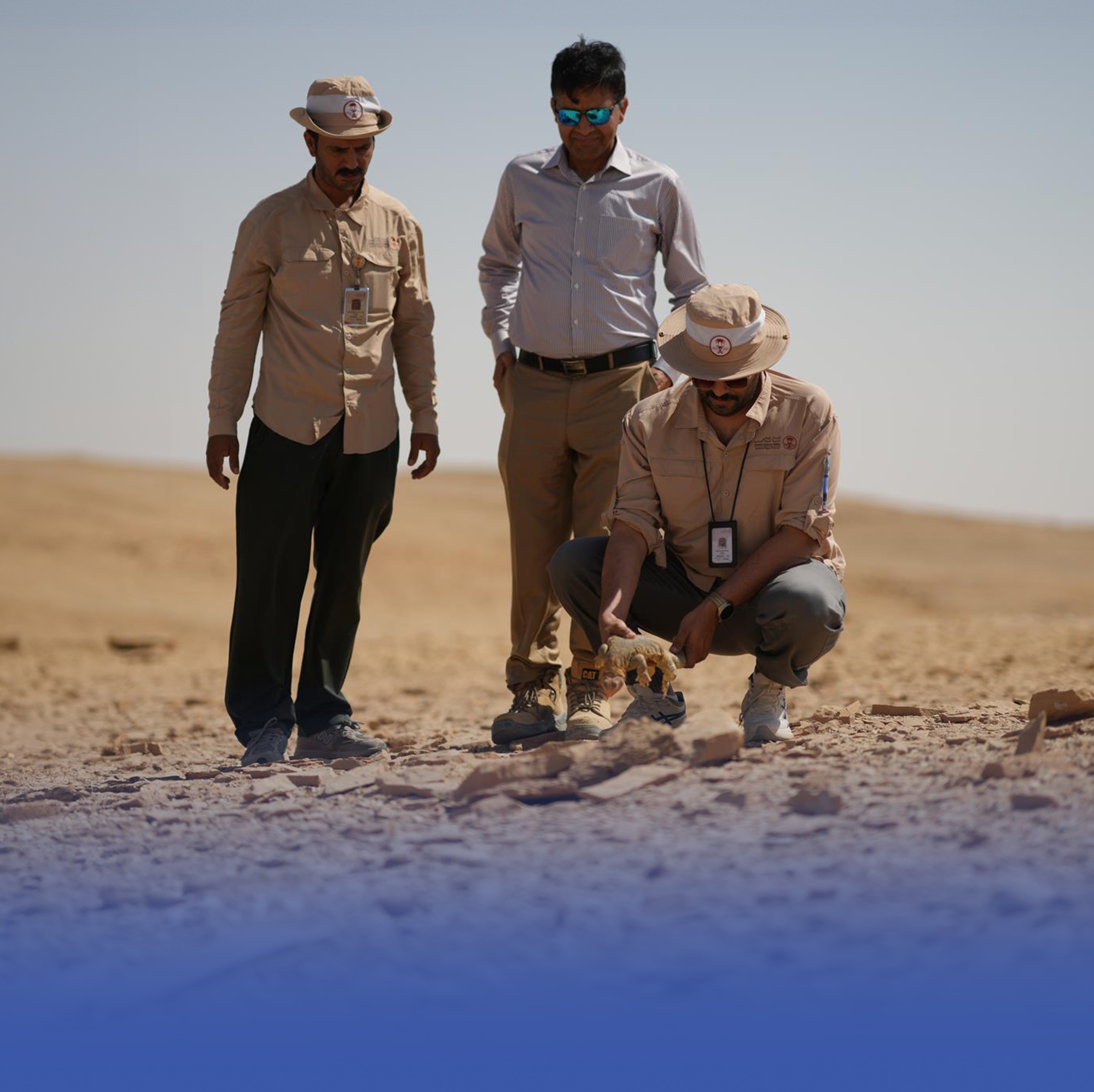 إطلاق كائنات فطرية في محمية الوعول