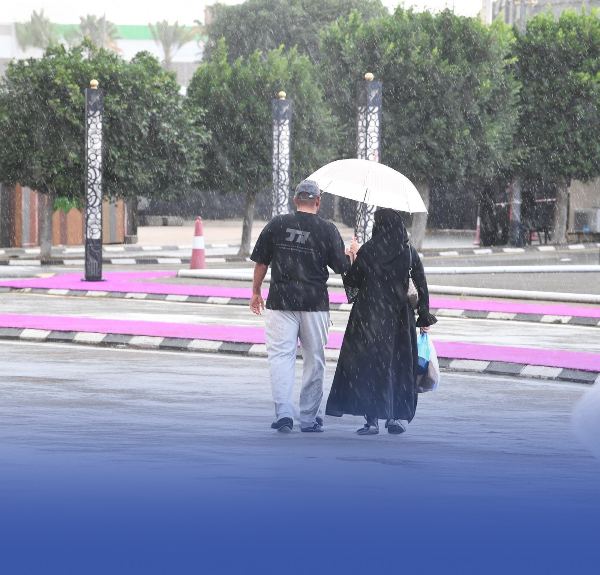 توقعات بأمطار وضباب على 5 مناطق