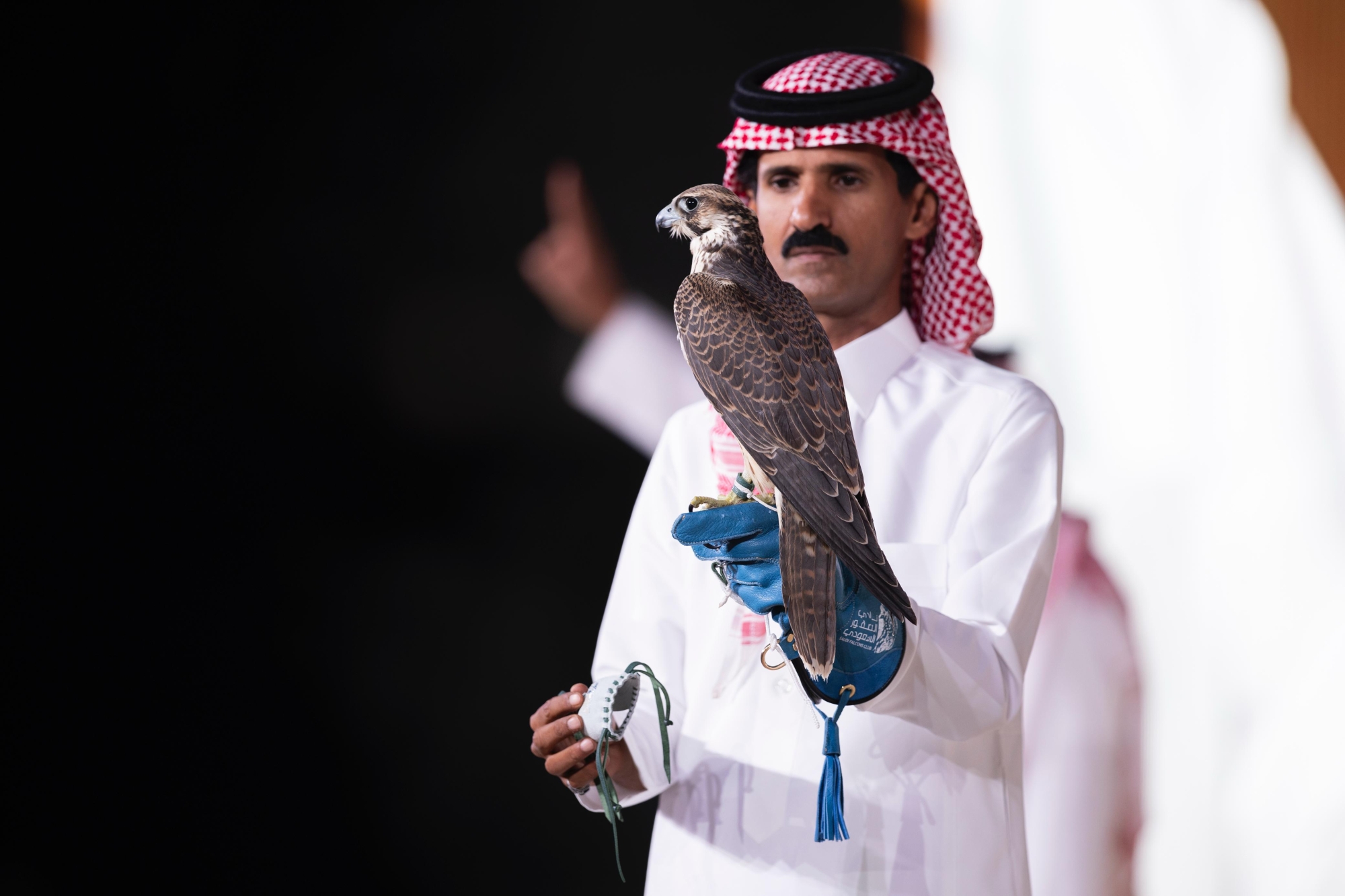 بيع فرخ شاهين بـ119 ألفاً في ثامن ليالي مزاد الصقور