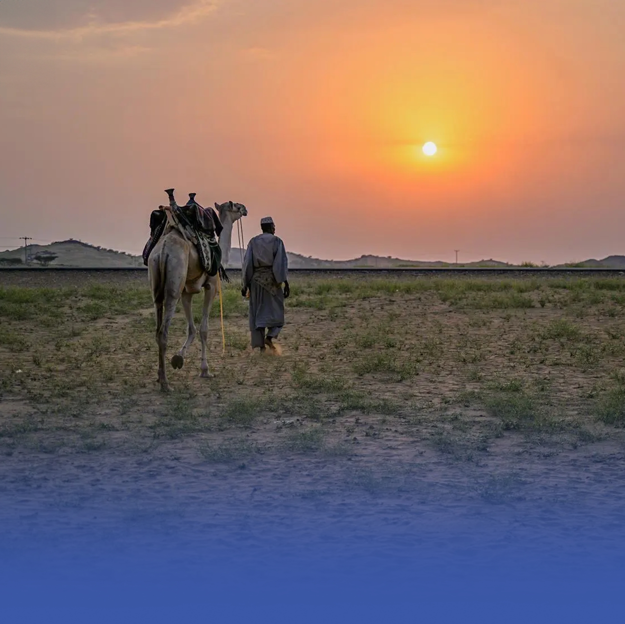 النباتات تزين أنحاء المخواة في موسم مطير