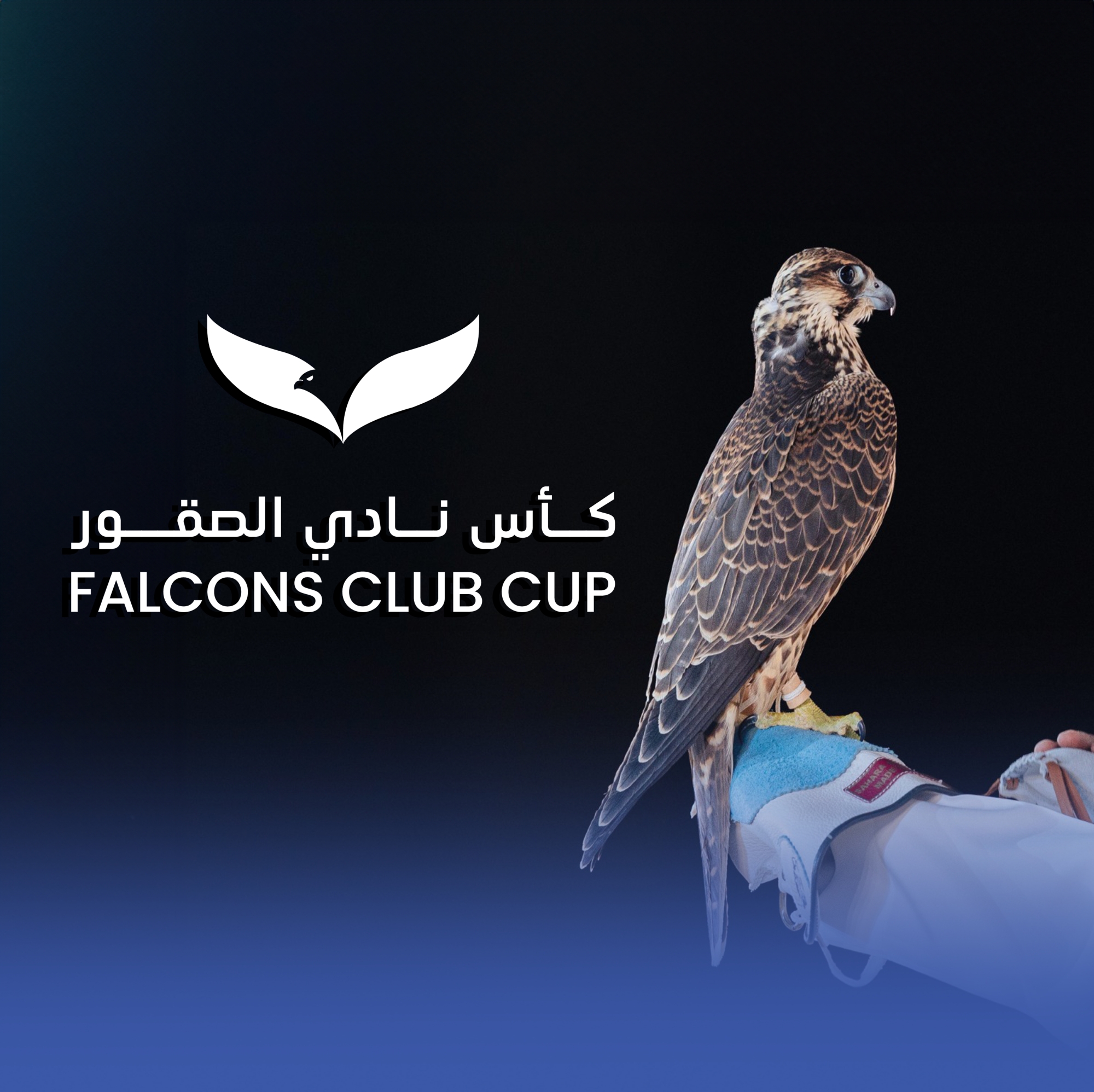 7 شروط للمشاركة بأشواط الملواح في كأس نادي الصقور