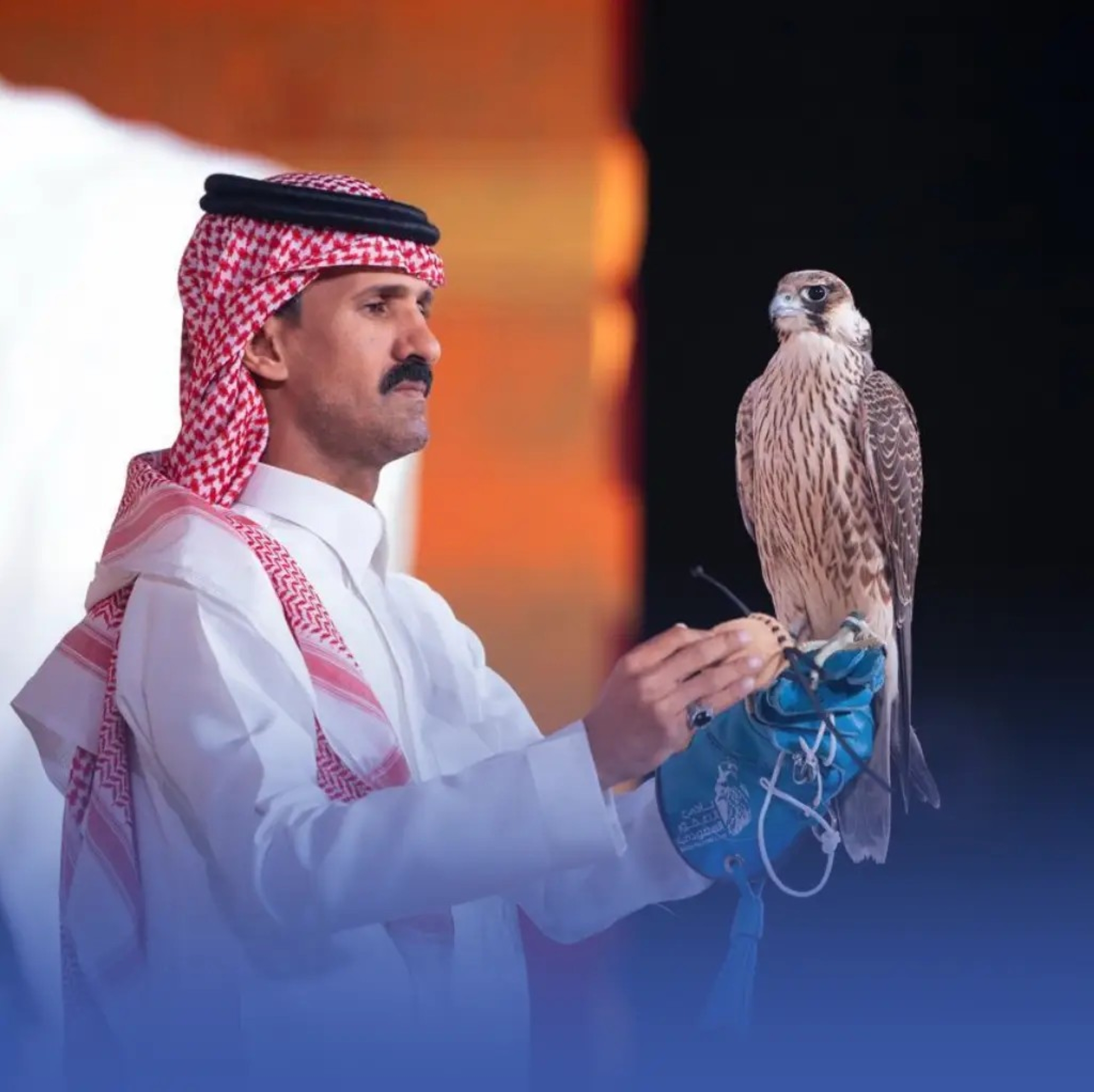 بيع صقرين بـ351 ألف ريال في مزاد نادي الصقور