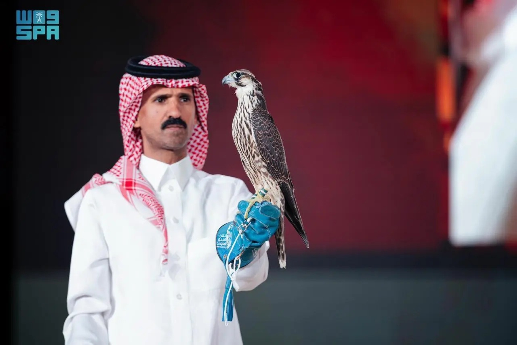 ذهب لصيد السمك ليعود بصقر قيمته 277 ألف ريال