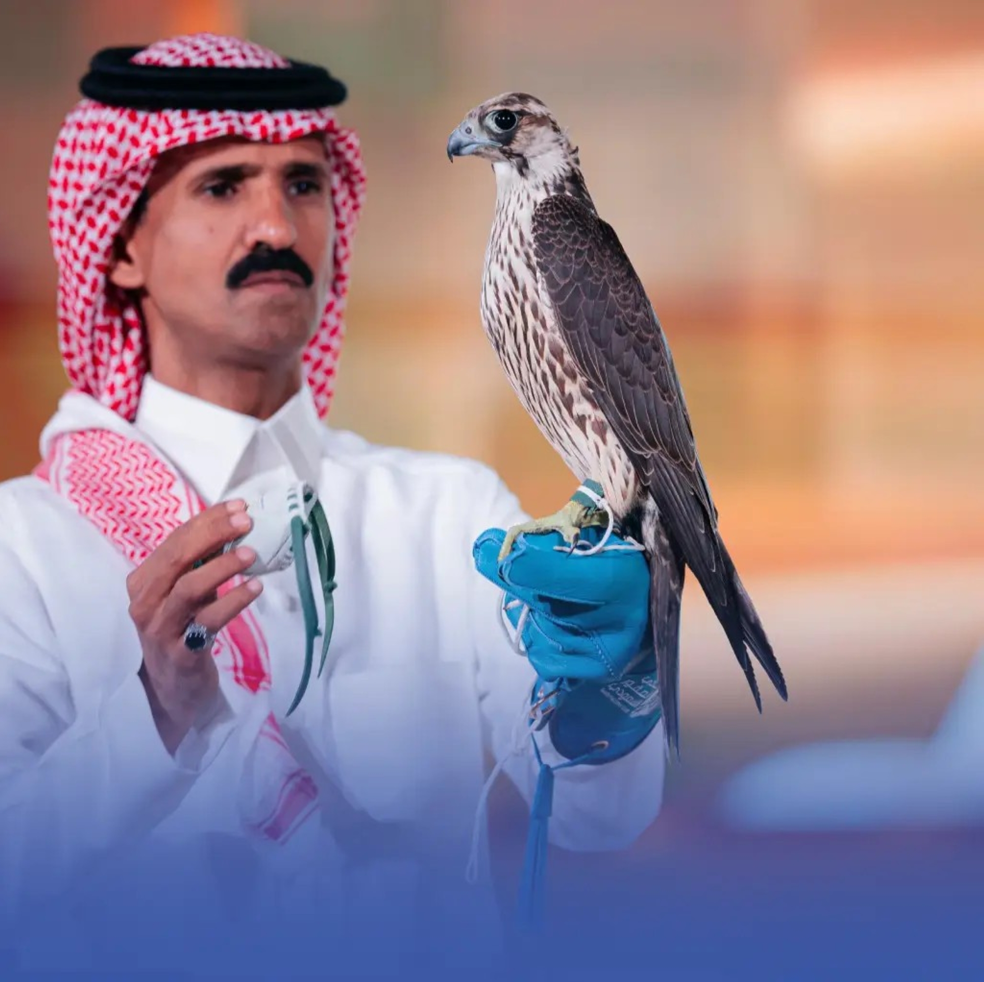 صدفة علاجية تقود لطرح شاهين في الجبيل