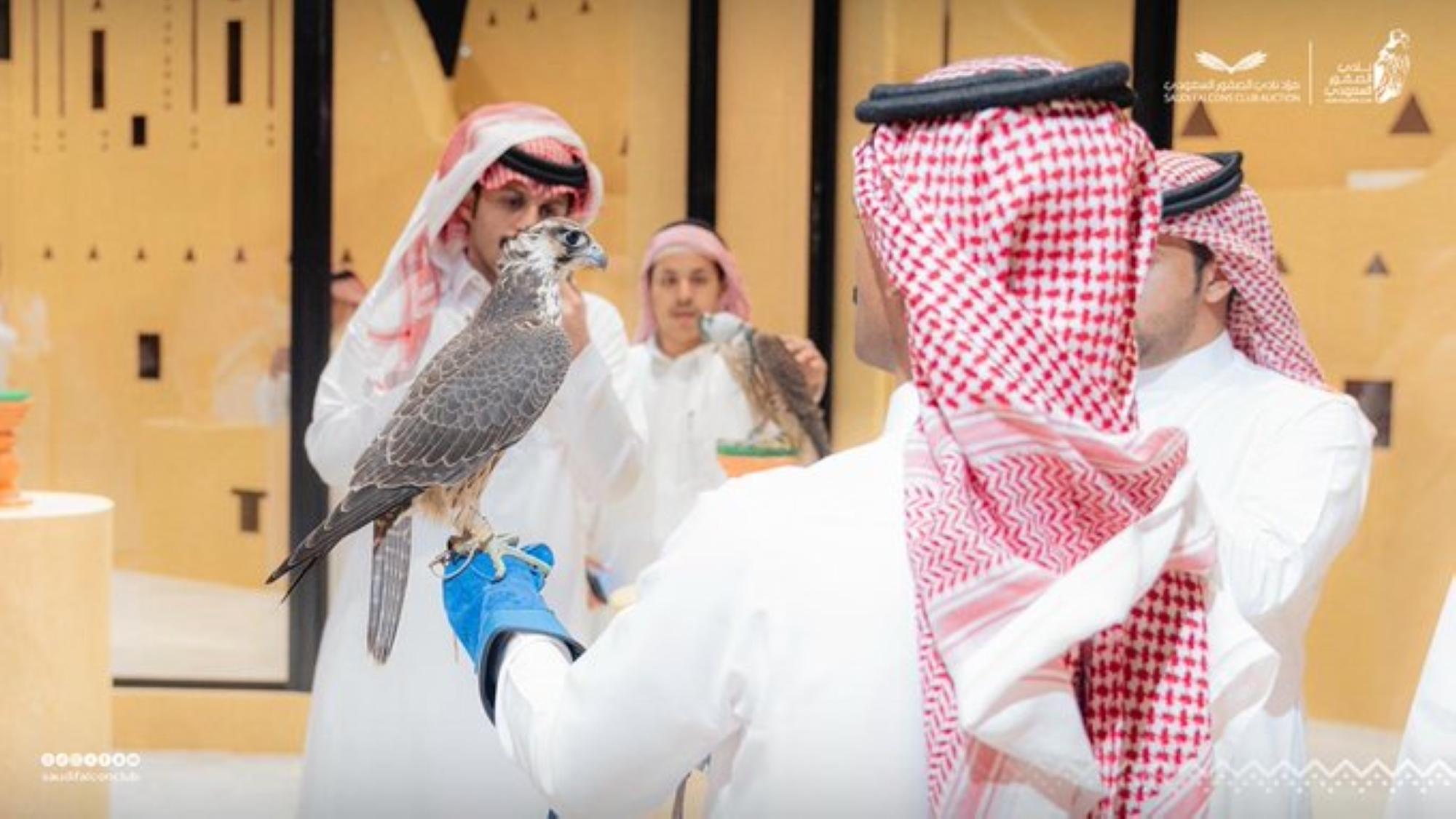 مبيعات مزاد الصقور تتخطى 4.5 مليون ريال