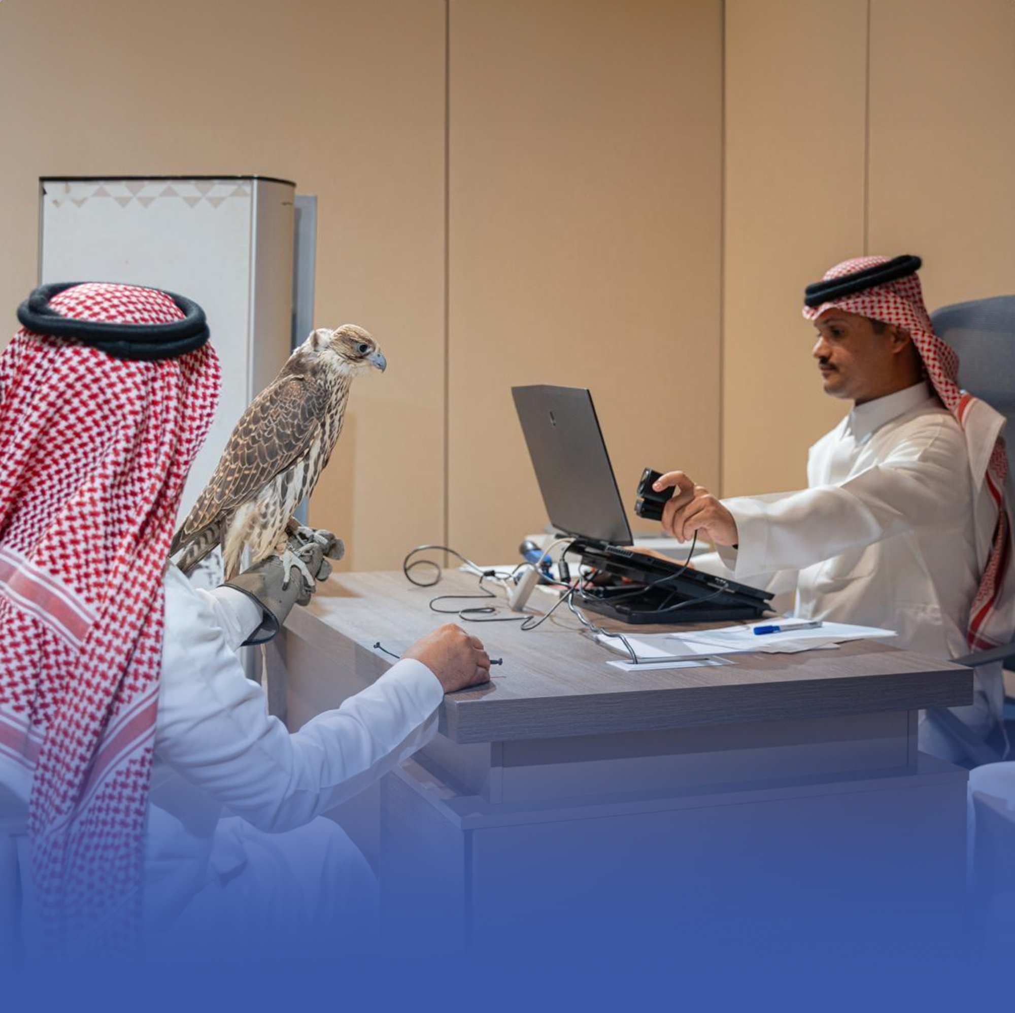 انطلاق التسجيل لمنافسات كأس نادي الصقور ومهرجان الملك عبدالعزيز