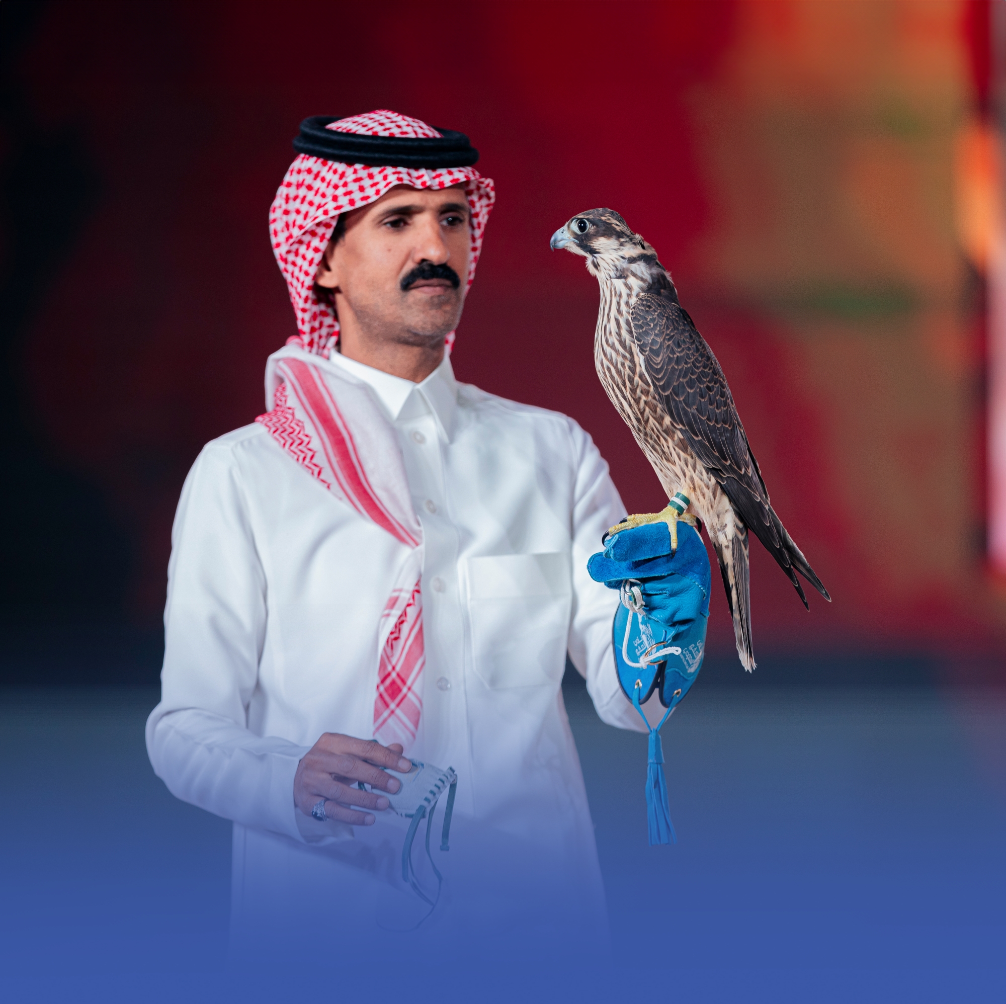 مبيعات "مزاد الصقور" تتخطى 5 ملايين في الليلة الـ20