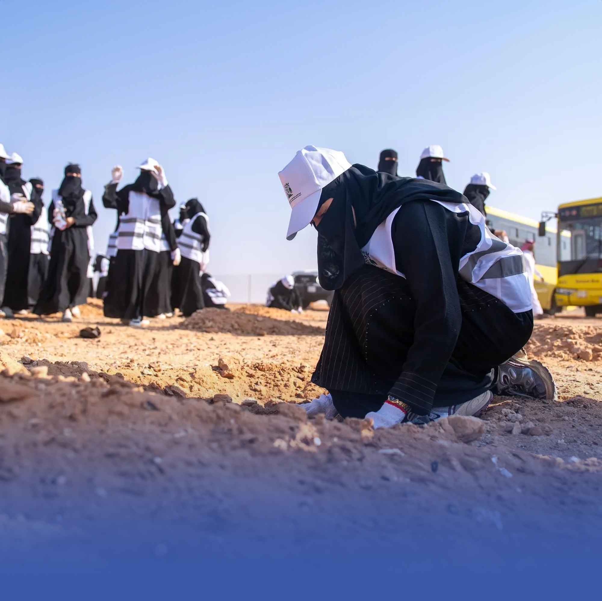 "محمية الملك سلمان" تنمي الغطاء النباتي بتكثيف الزراعة