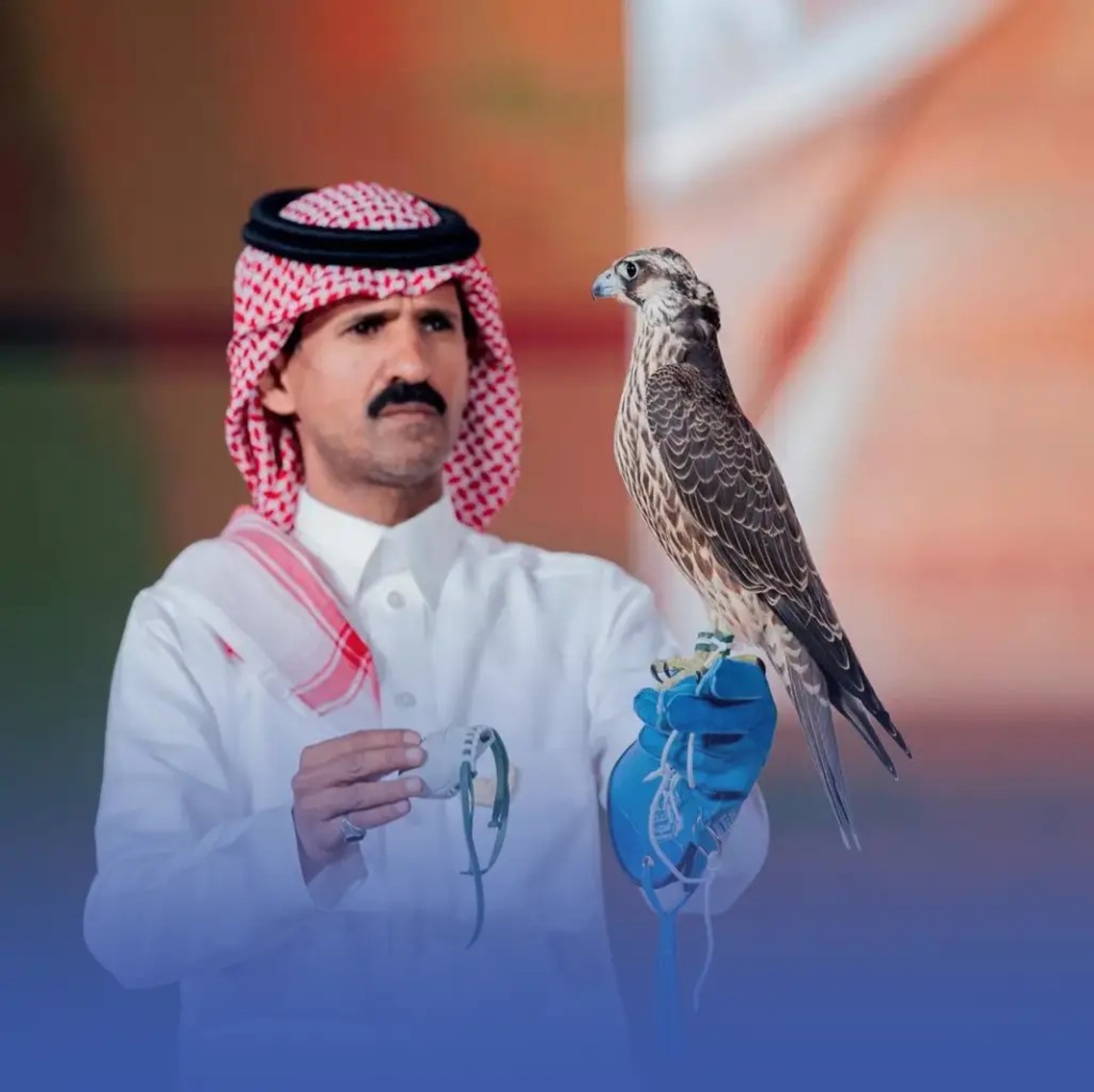 بيع صقرين بـ385 ألف ريال في مزاد الصقور