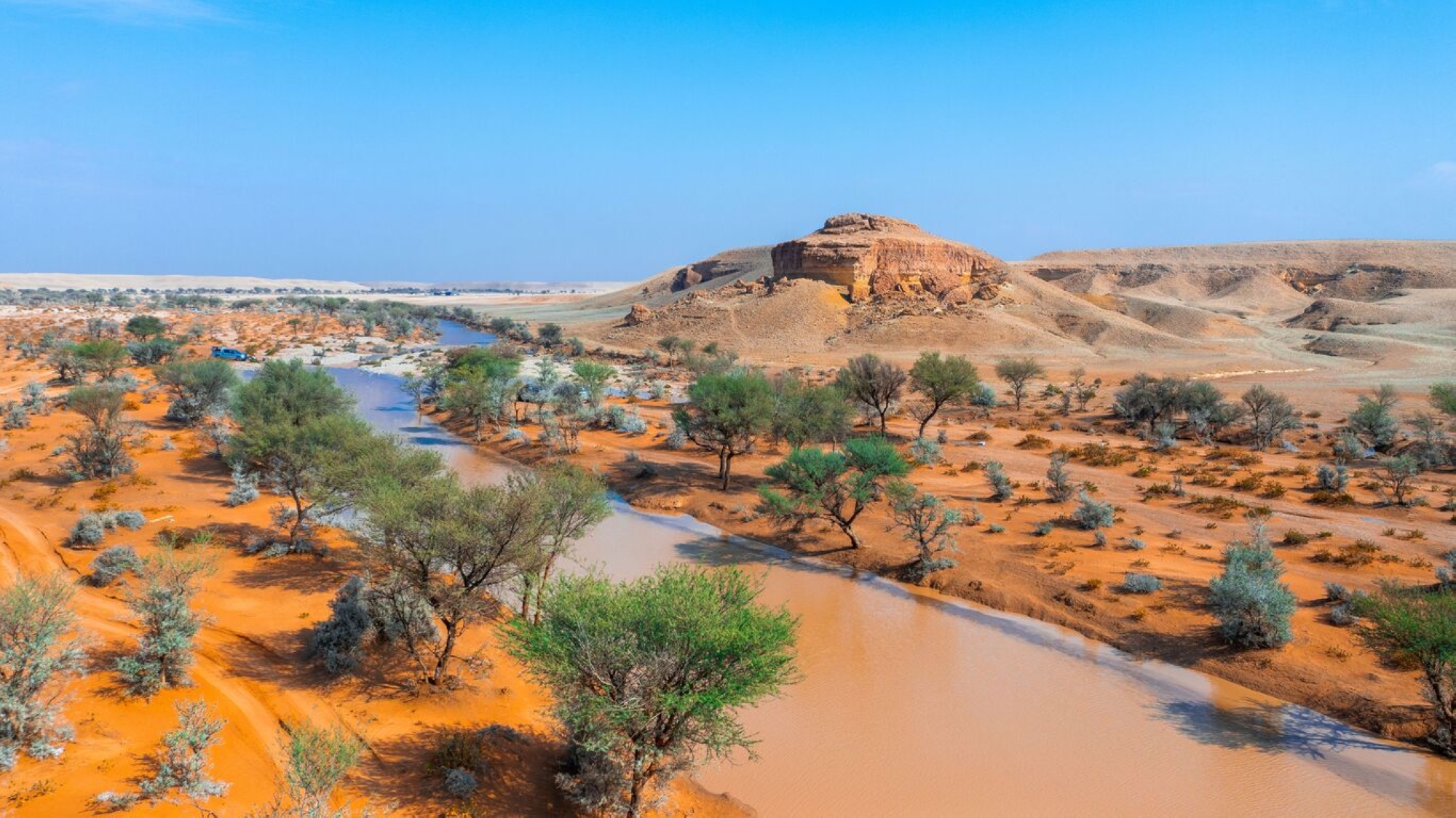 إيقاف الأنشطة والزيارات في "روضة الخفس"