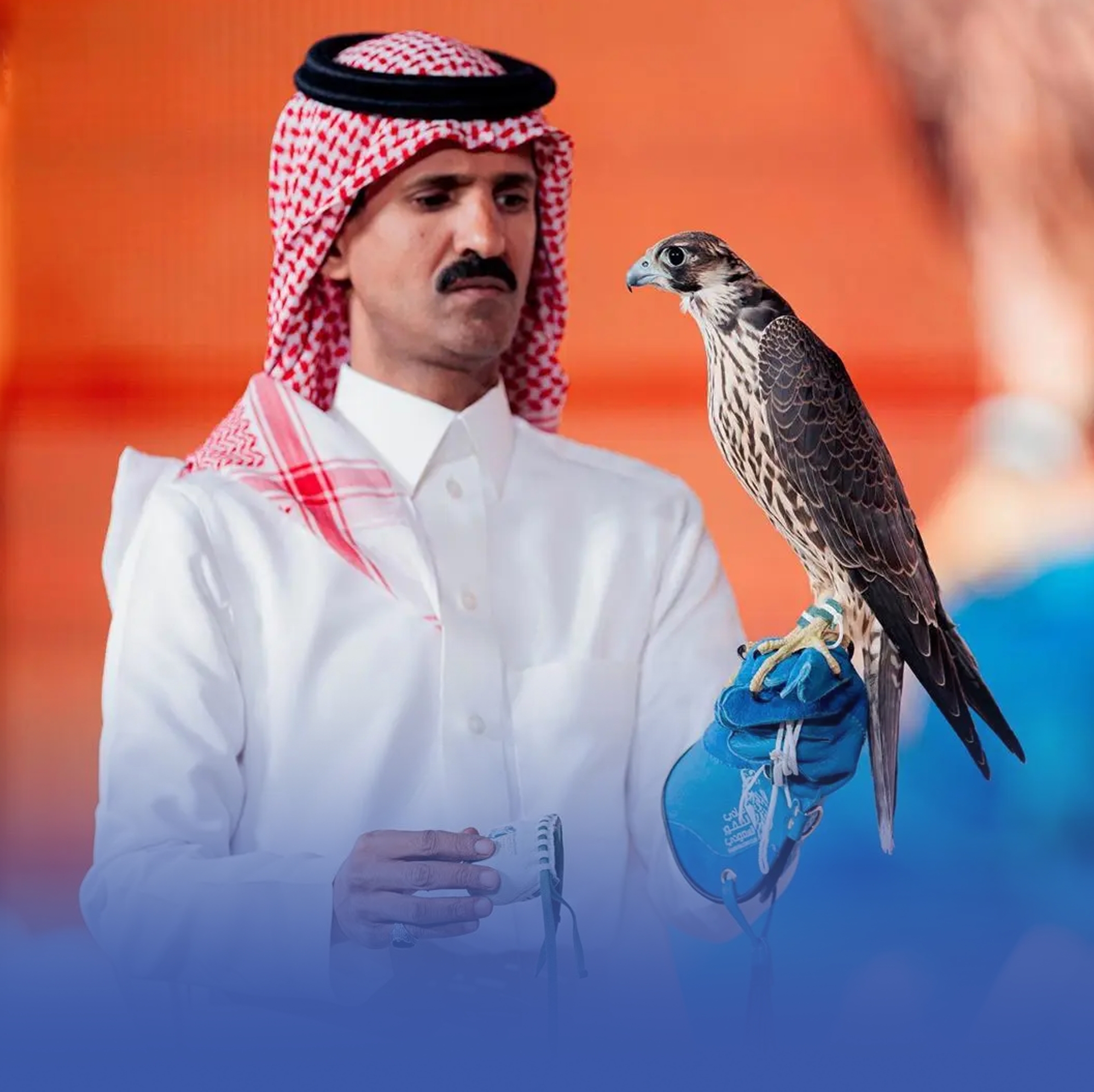بيع صقرين بـ156 ألفًا بمزاد الصقور