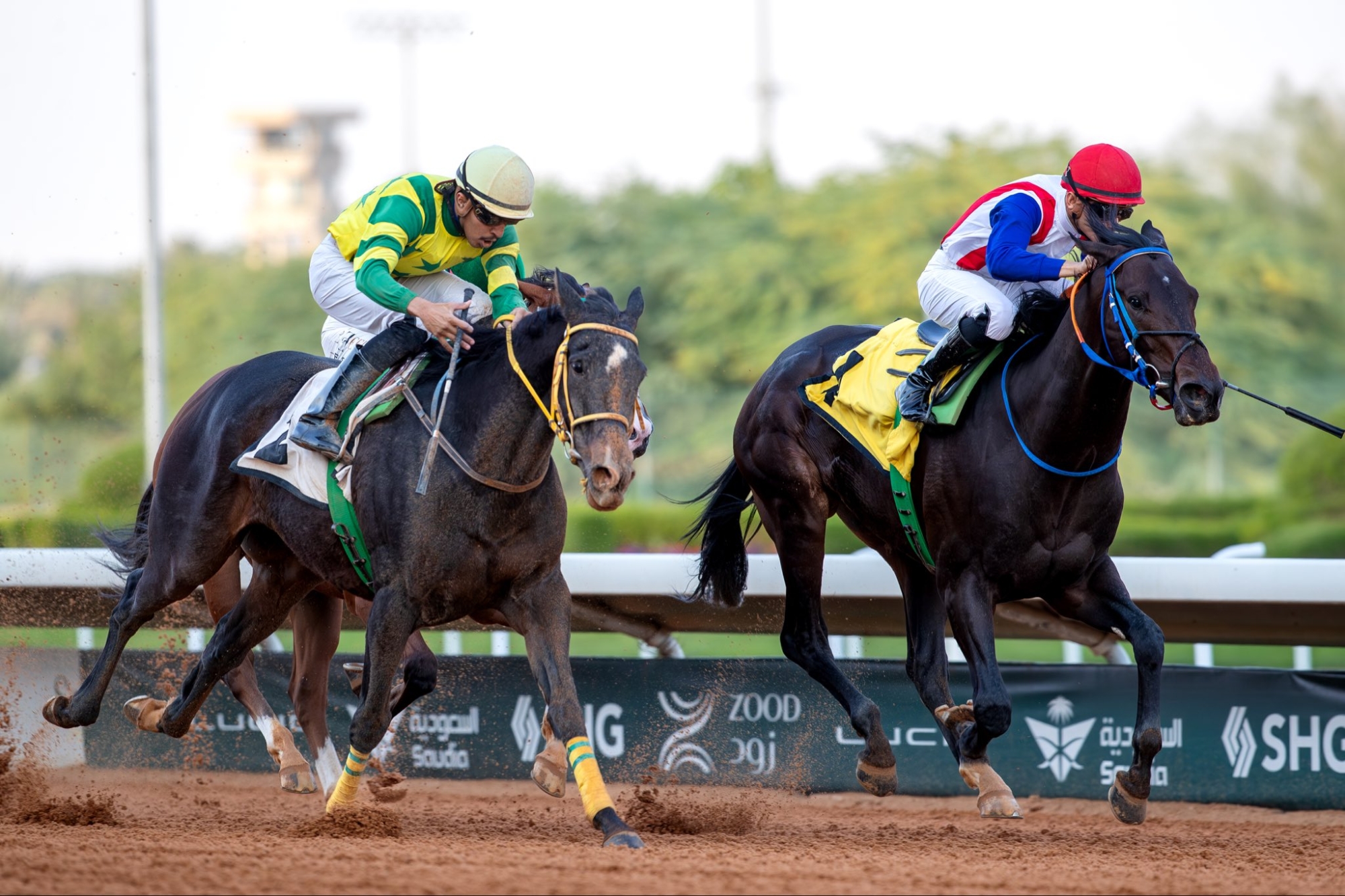 ميدان سباقات الخيل بنجران يُنظّم حفل سباقه الثامن للموسم الحالي
