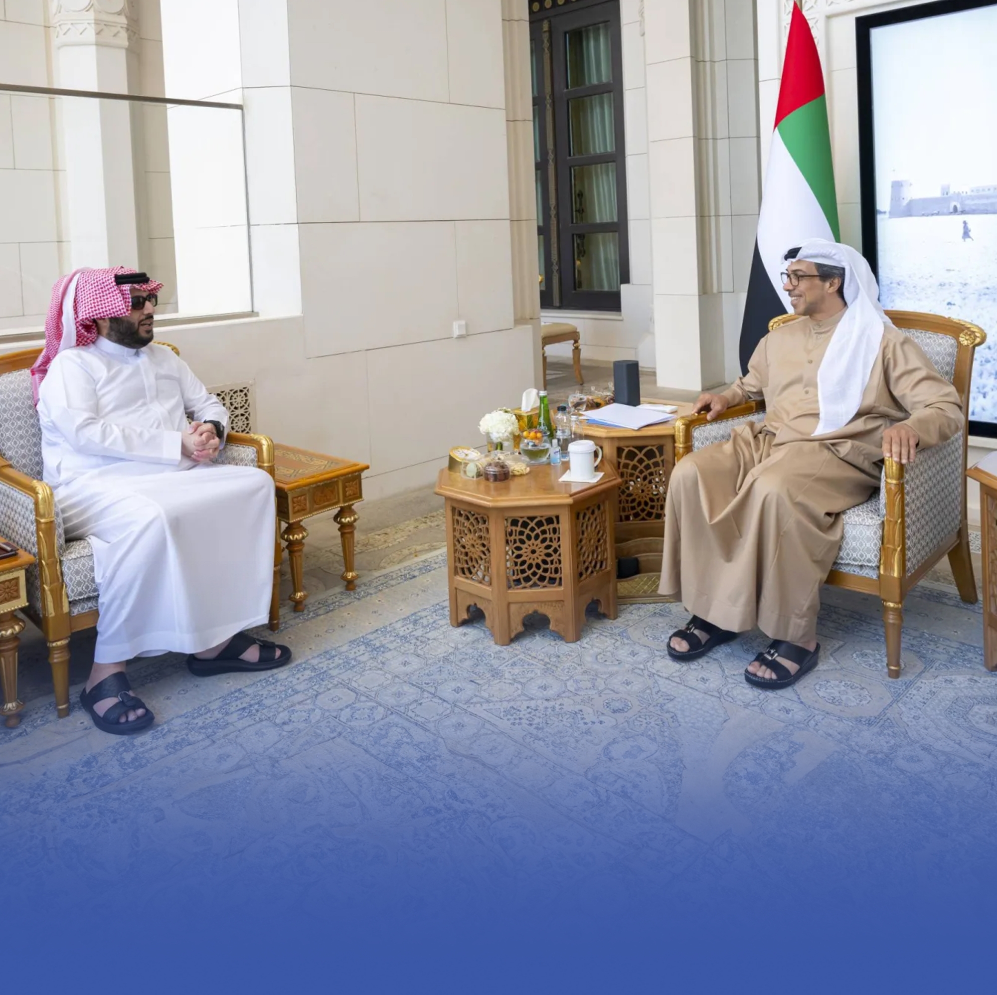 تركي آل الشيخ يلتقي منصور بن زايد في أبوظبي