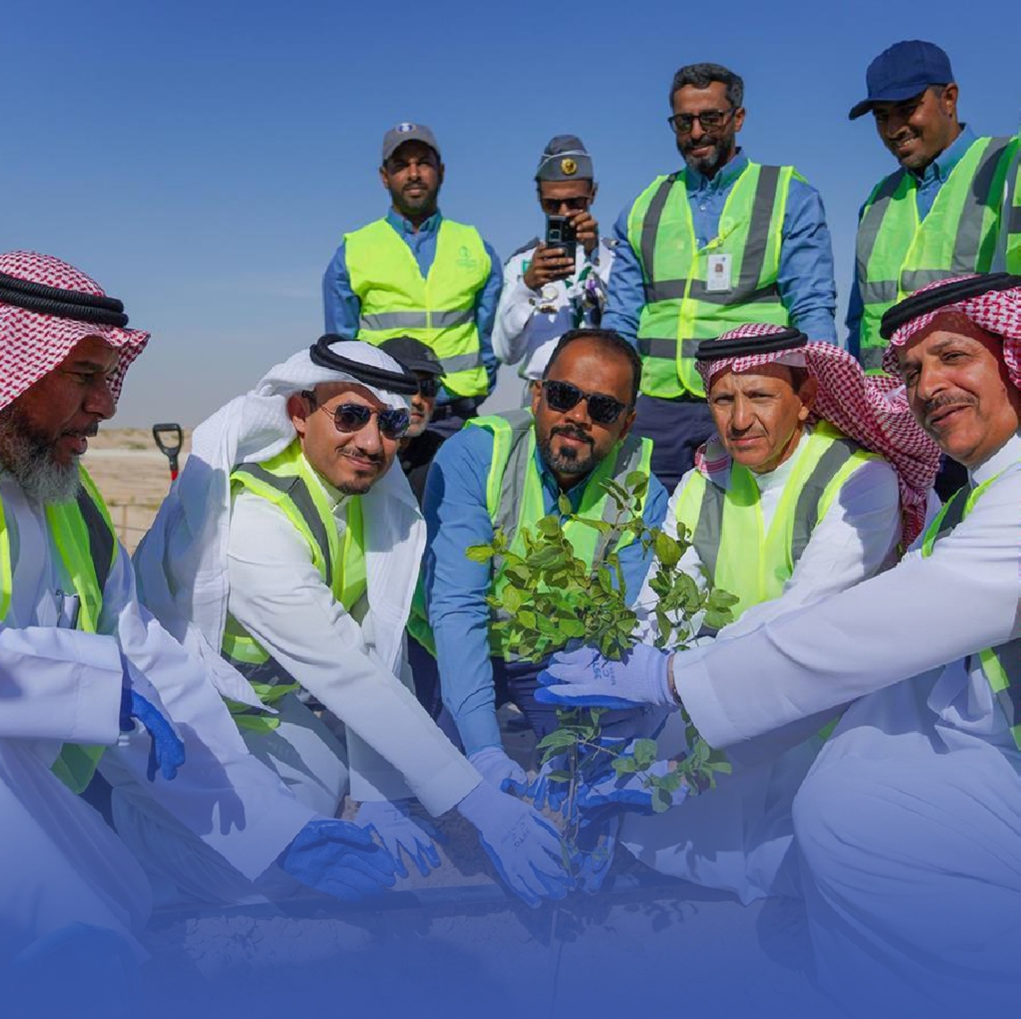 "الري" تستهدف زراعة 2 مليون شجرة بحلول 2030
