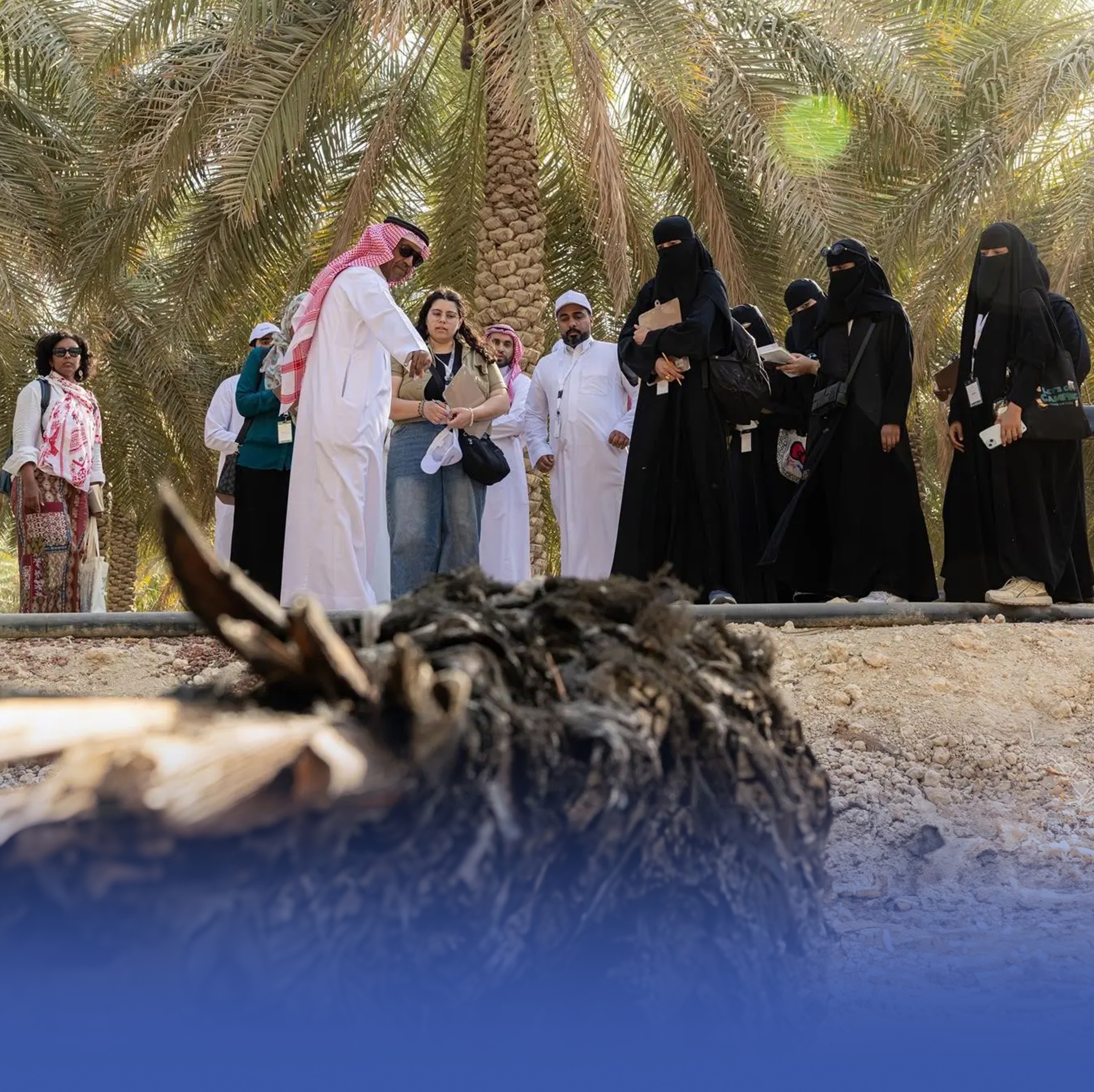 المملكة تصون التراث غير المادي في واحة الأحساء