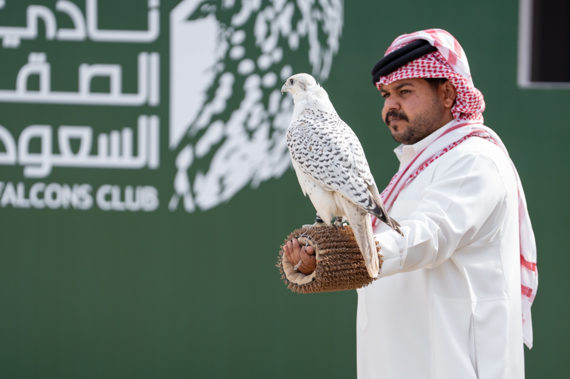 صقور المحترفين تتنافس على جوائز كأس نادي الصقور السعودي 2025