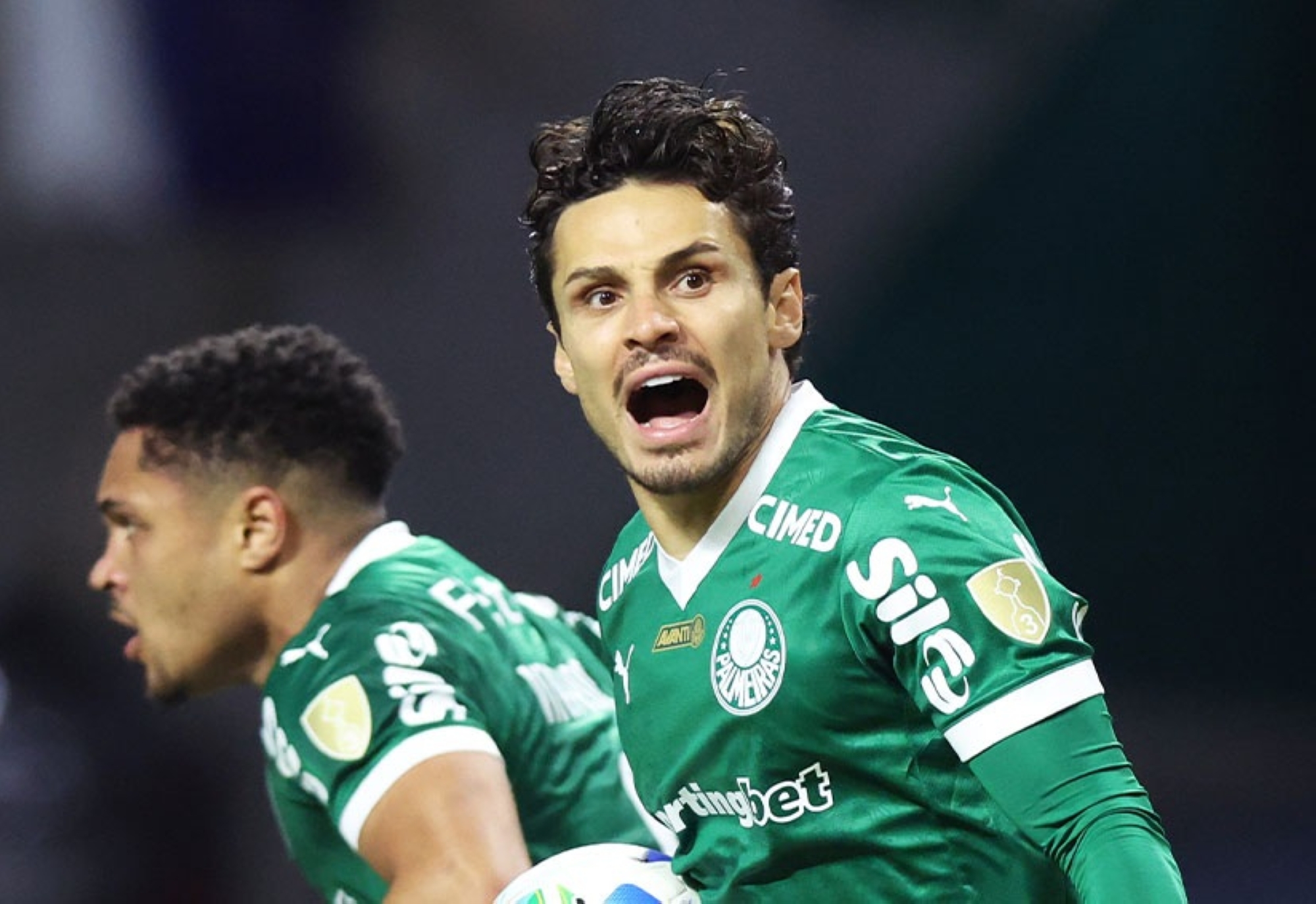 بالميراس يواجه فلامنغو في نهائي برازيلي لكأس ليبرتادوريس