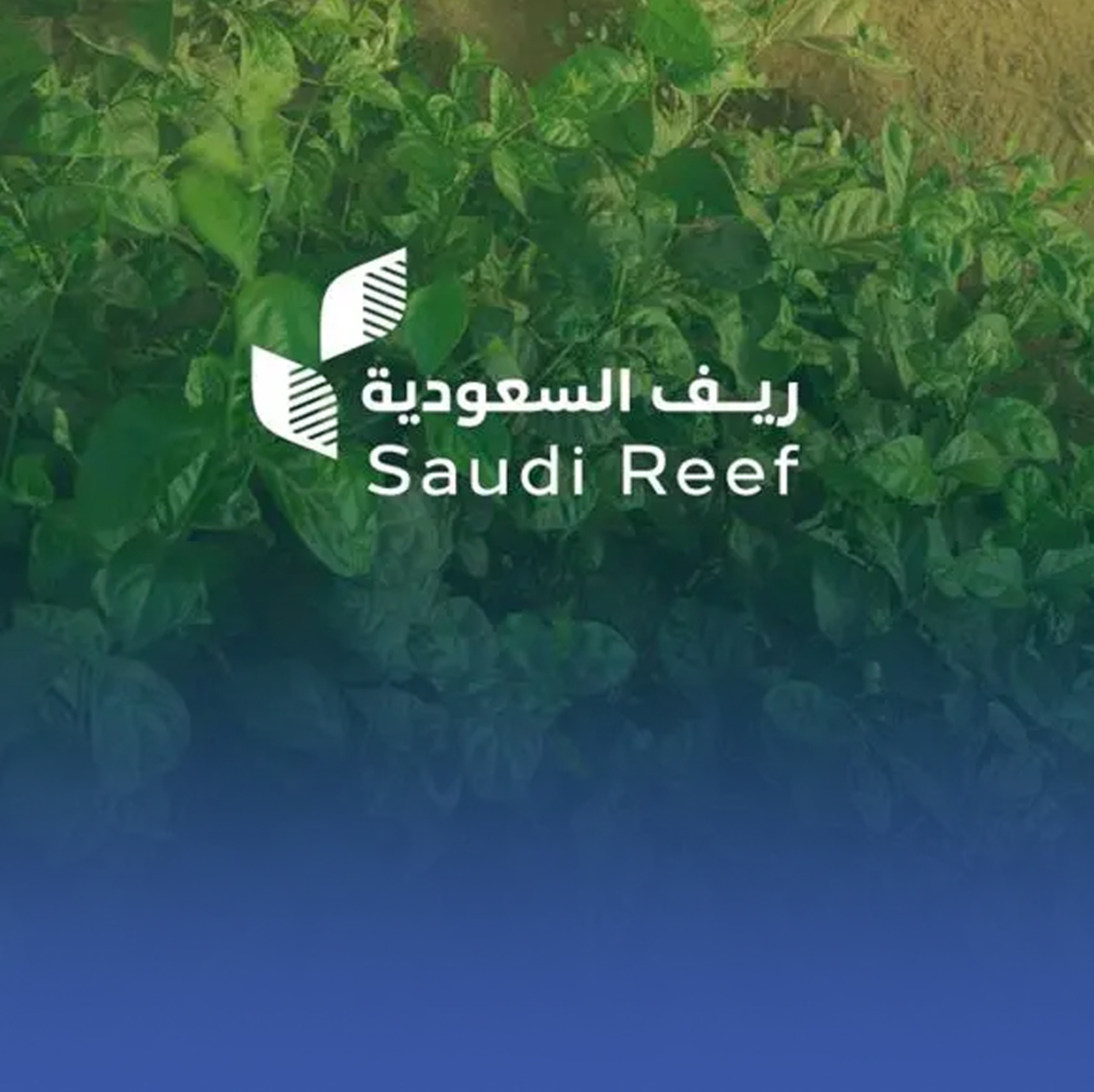 "ريف السعودية" يحذر من حسابات وهمية ويؤكد التسجيل مجاني