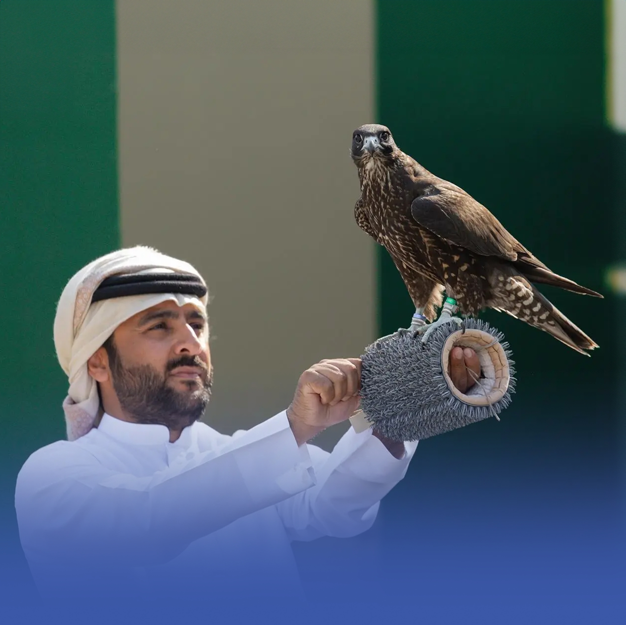 اختتام مشروع توثيق ملكيات الصقور وتصحيح أوضاعها