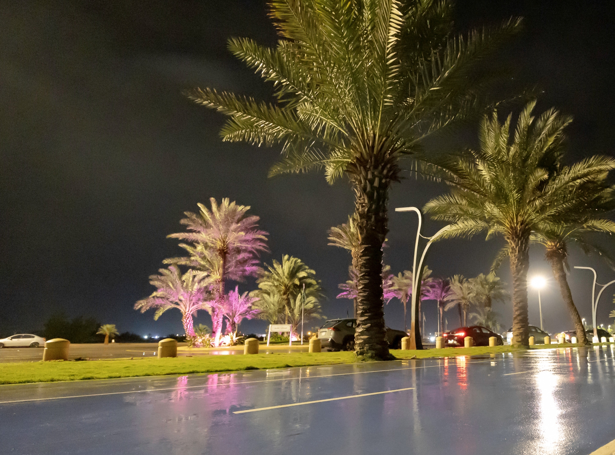 "الأرصاد": الحالة المطرية مصحوبة بسيول وبرد
