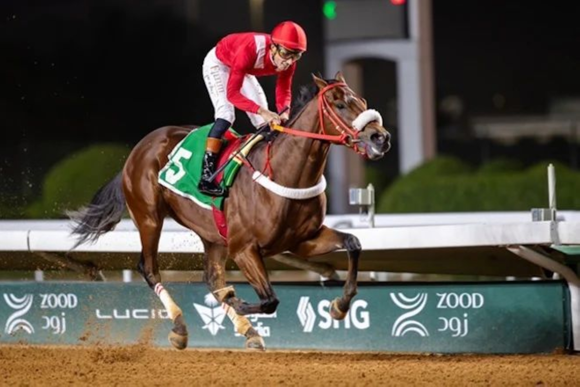مواجهة مرتقبة بين أفضل أمهار السنتين في كأس الحرس الوطني
