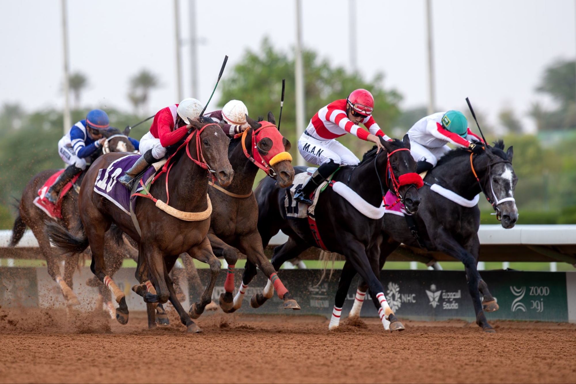 ميدان سباقات الخيل بنجران يُنظّم حفل سباقه الـ12 للموسم الحالي