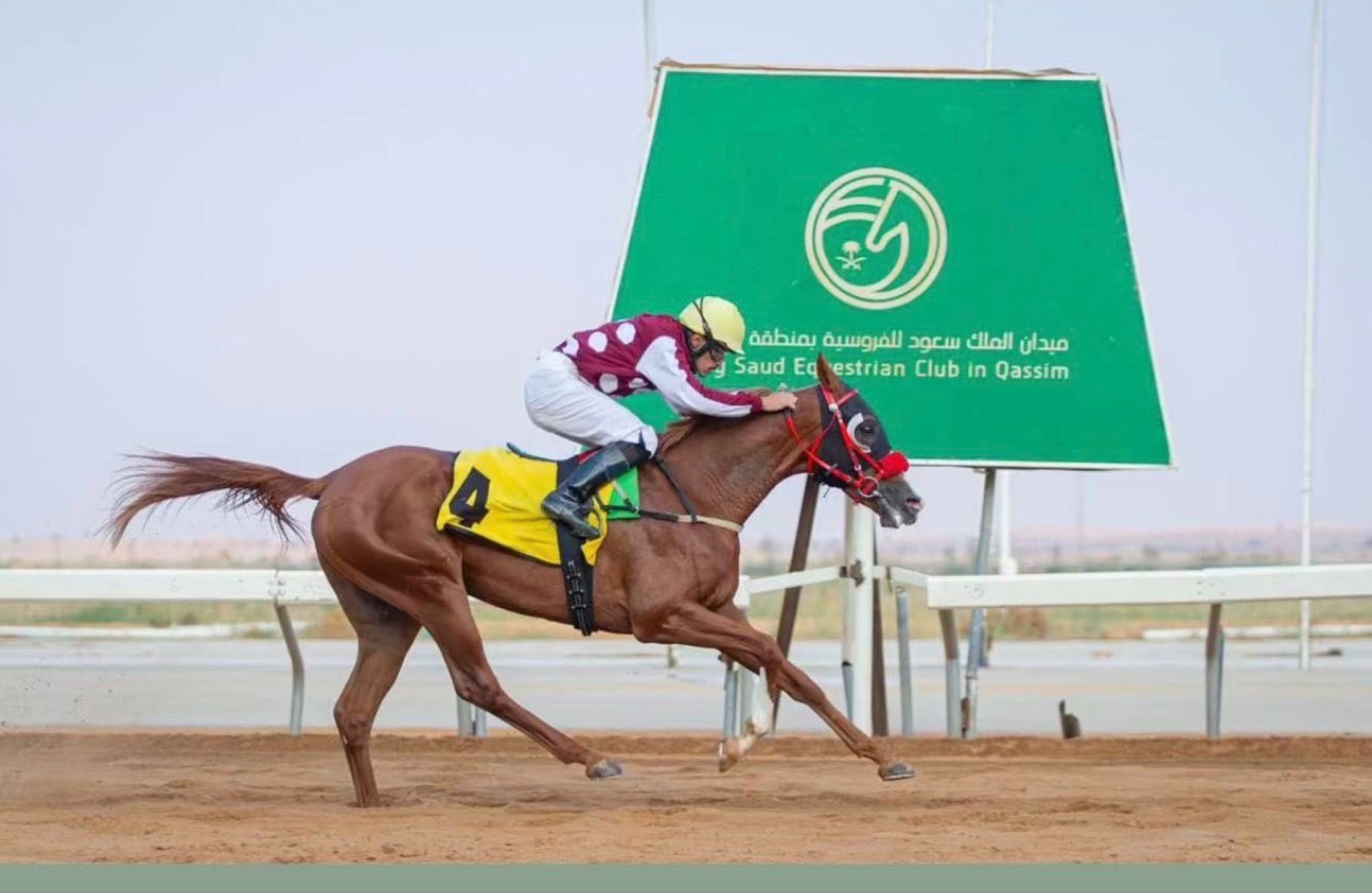 ميدان سباقات الخيل بنجران يُعلن نتائج حفل سباقه الـ 12