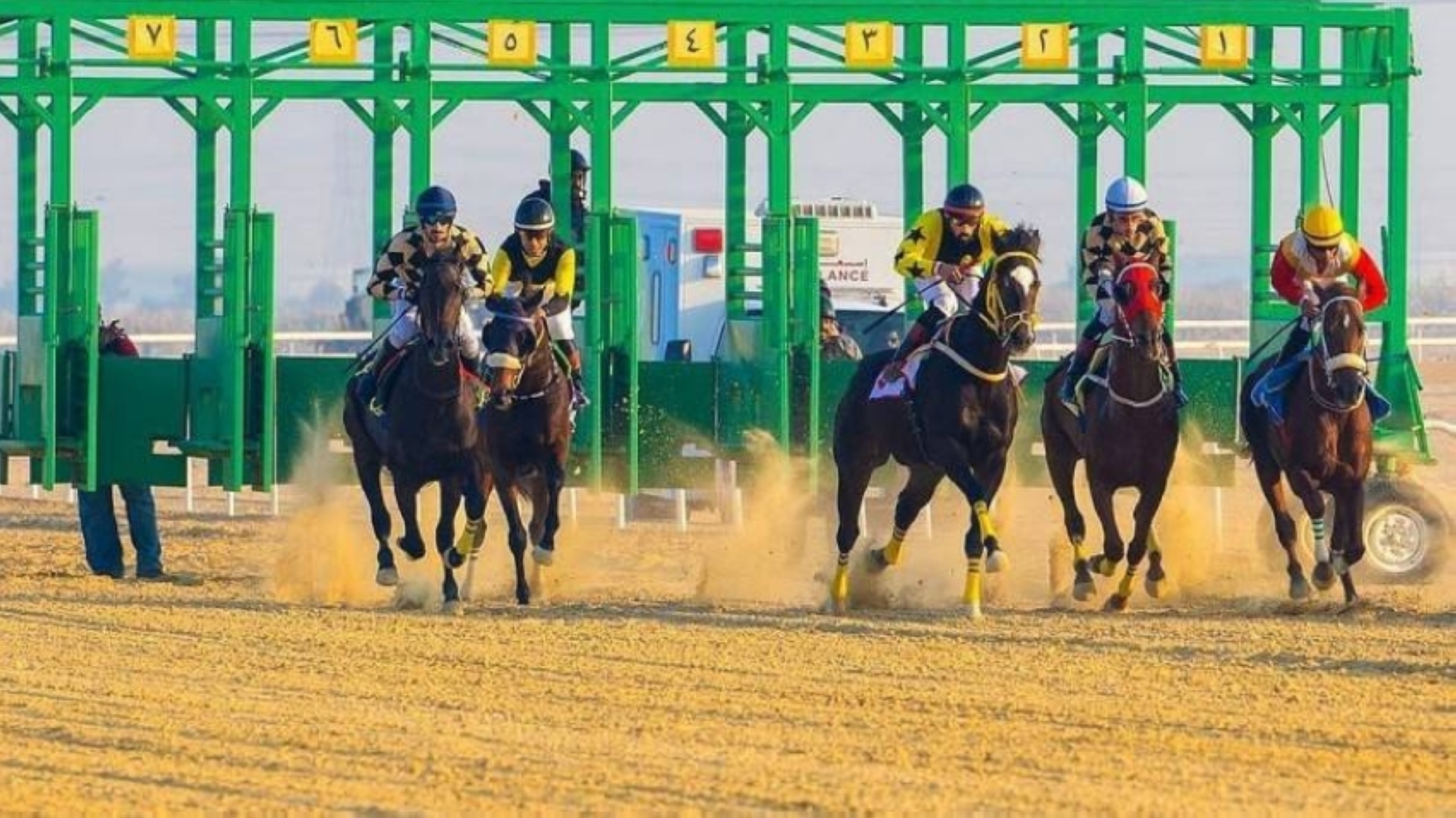 ميدان سباقات الخيل بنجران يُعلن نتائج حفل سباقه الـ13 للموسم الحالي