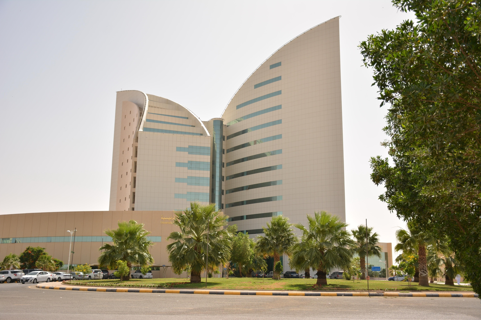 ابتكار ذكي يقود جامعة نجران لمنصات التتويج العالمية