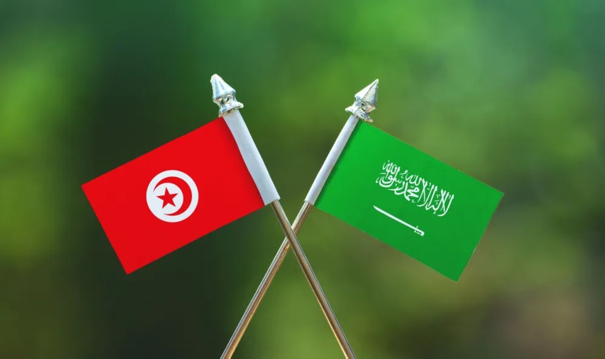 المملكة وتونس تستكشفان آفاق شراكتهما الاقتصادية غدًا